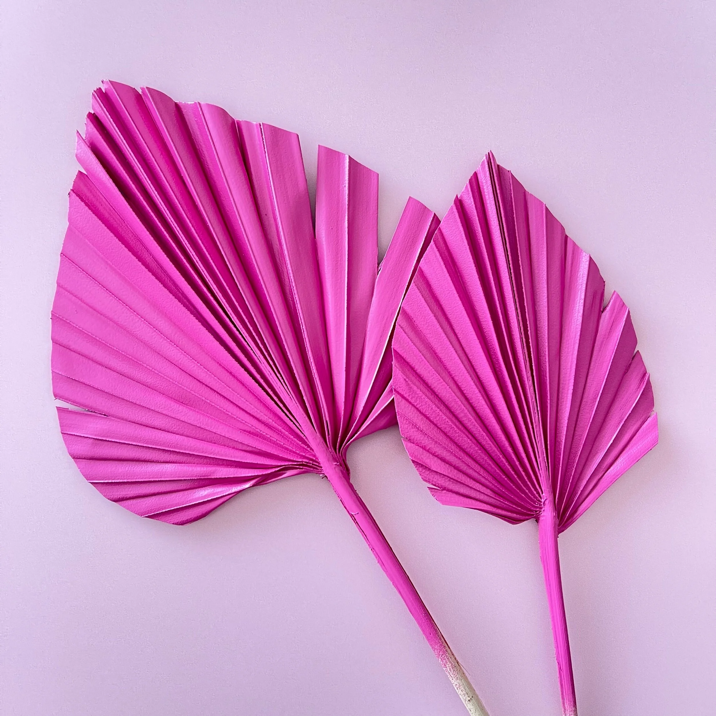 1FA6BDA4-D6D3-40DB-8007-5708DE91DAB7