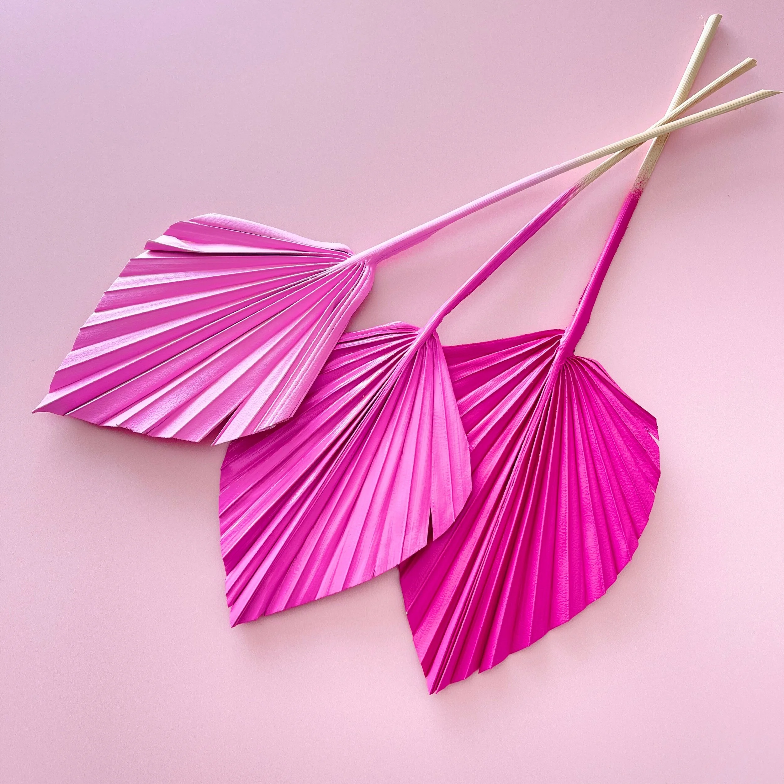 FEEDA57F-70F0-48FA-B51C-153BD0AC0563