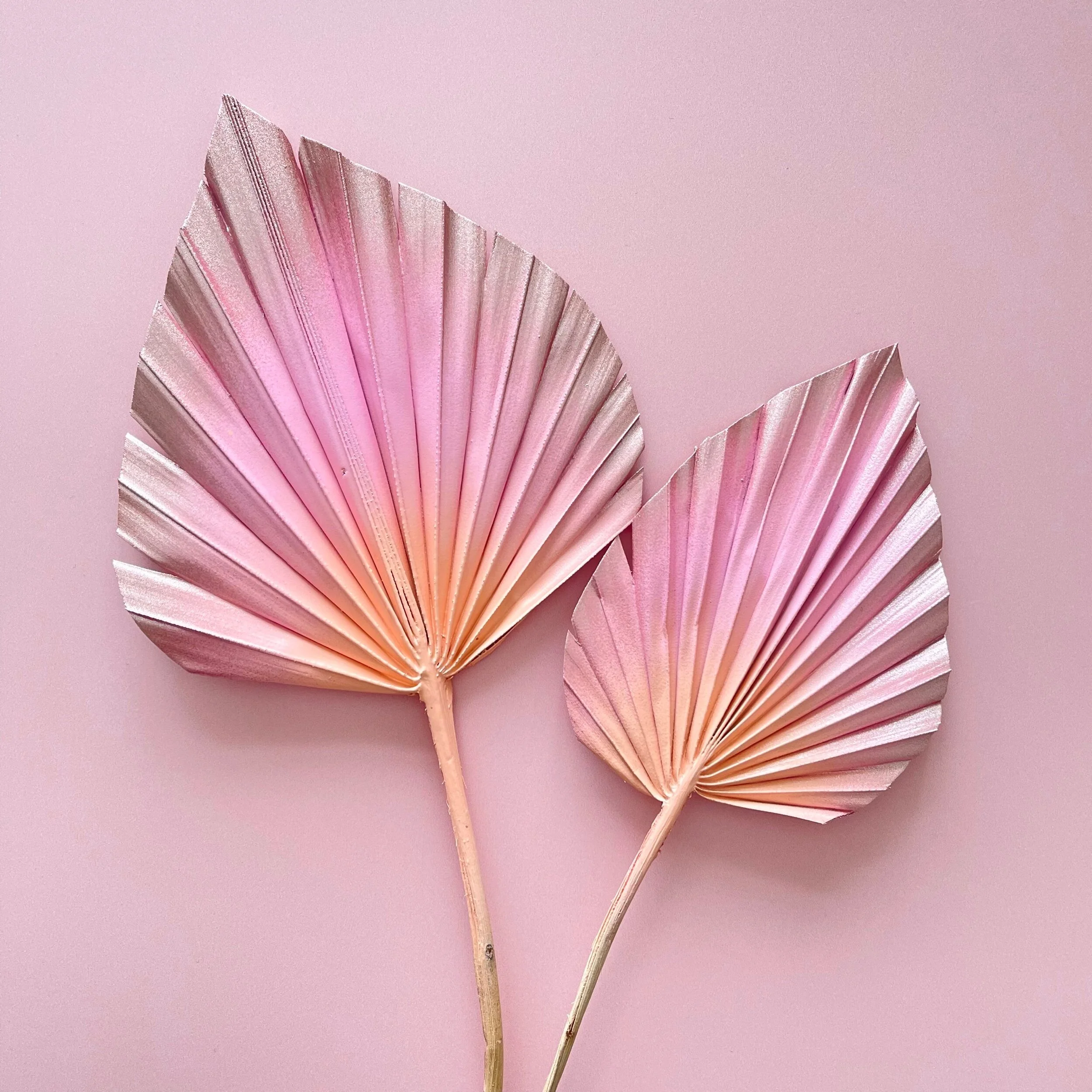 E0975C13-5140-46E3-83A7-C57FBABCA992