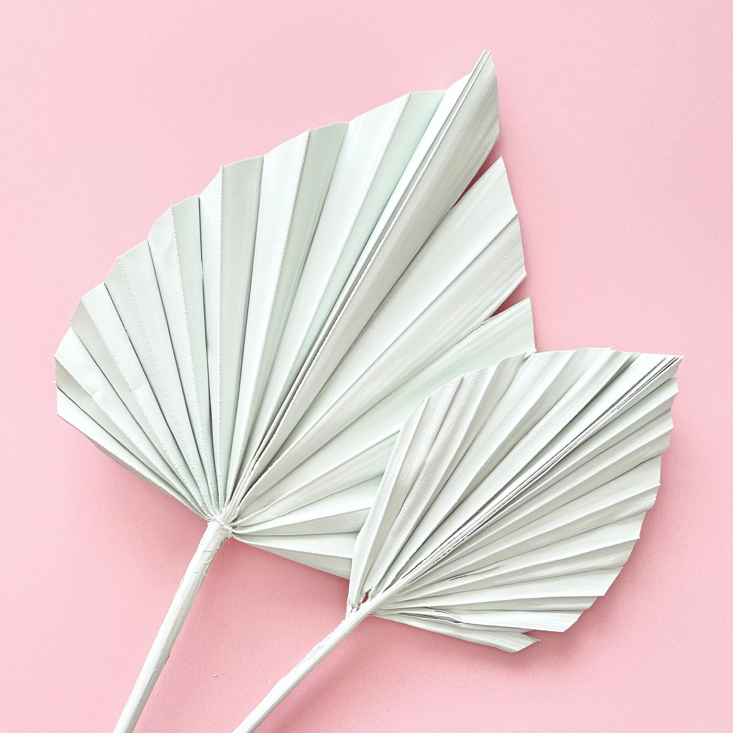 5943D026-66A4-4ADB-9200-7492182AA40B