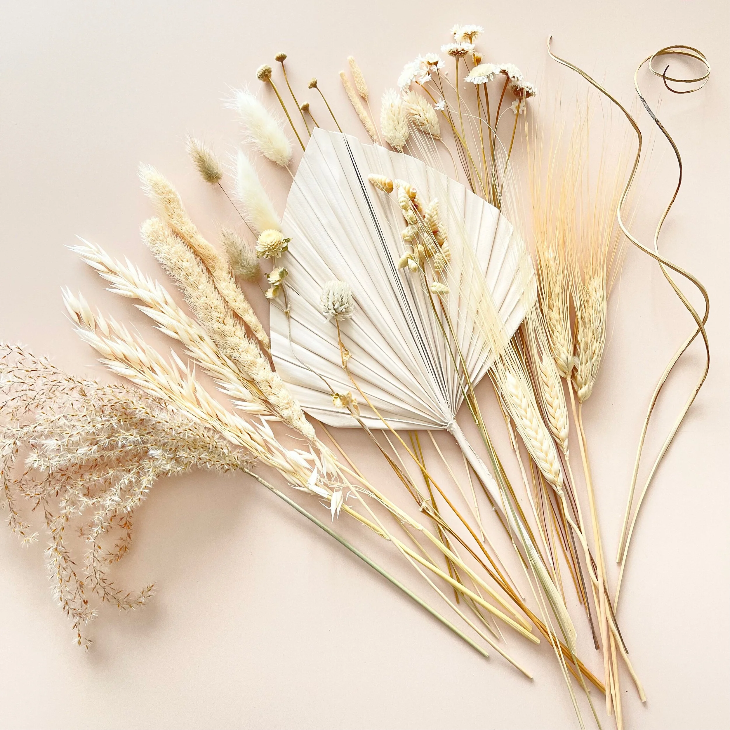 E174A0F8-C7B9-416A-AF4A-C45F54E2A0F8