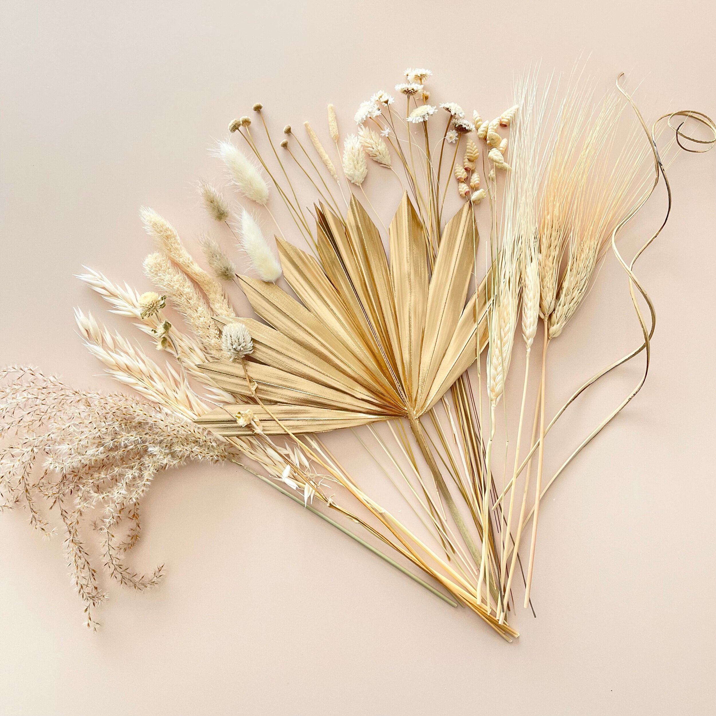 FD8049BB-9079-4091-BB0C-FCECF789E8EB