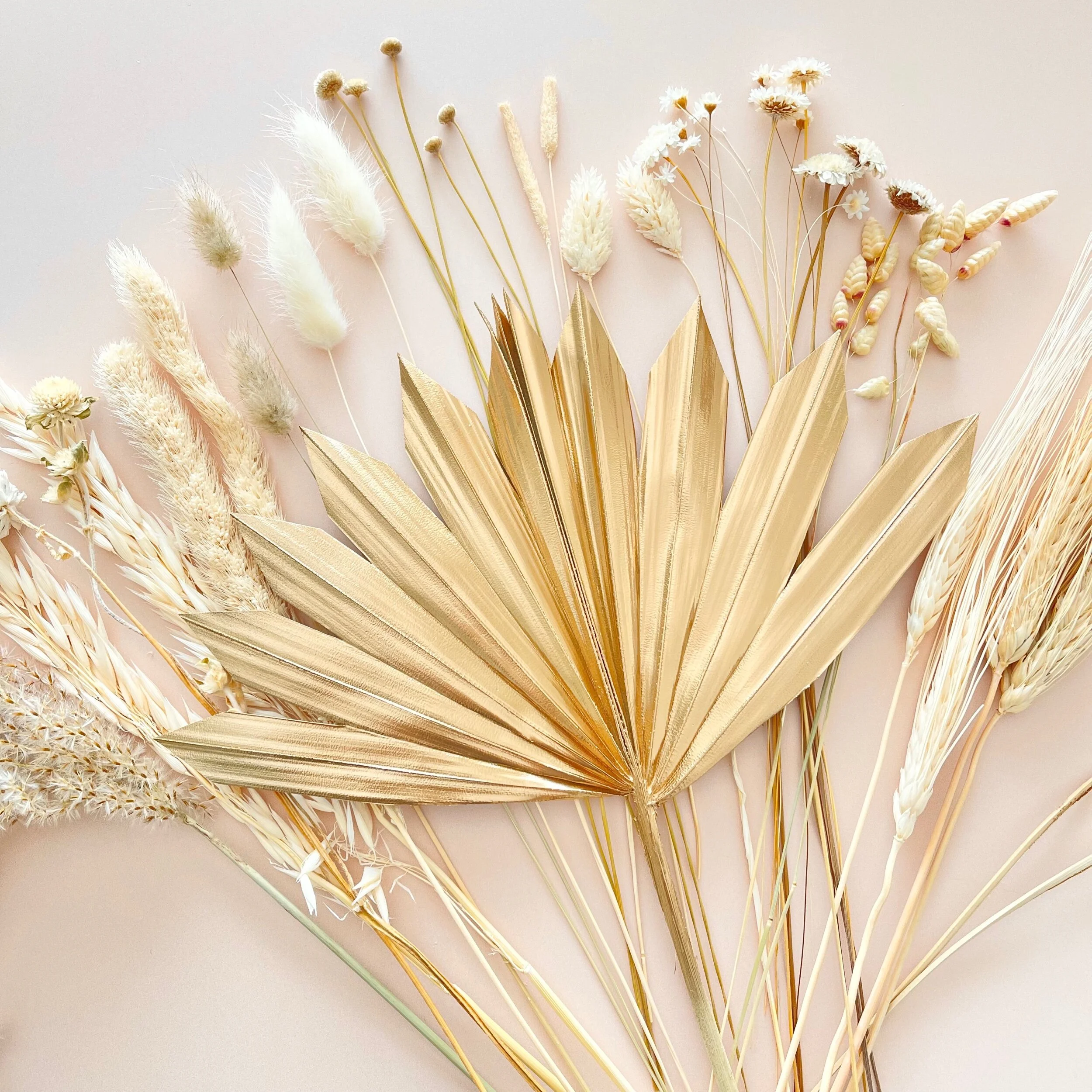 611DA3B6-8B0D-4333-8FDB-F367A225E995