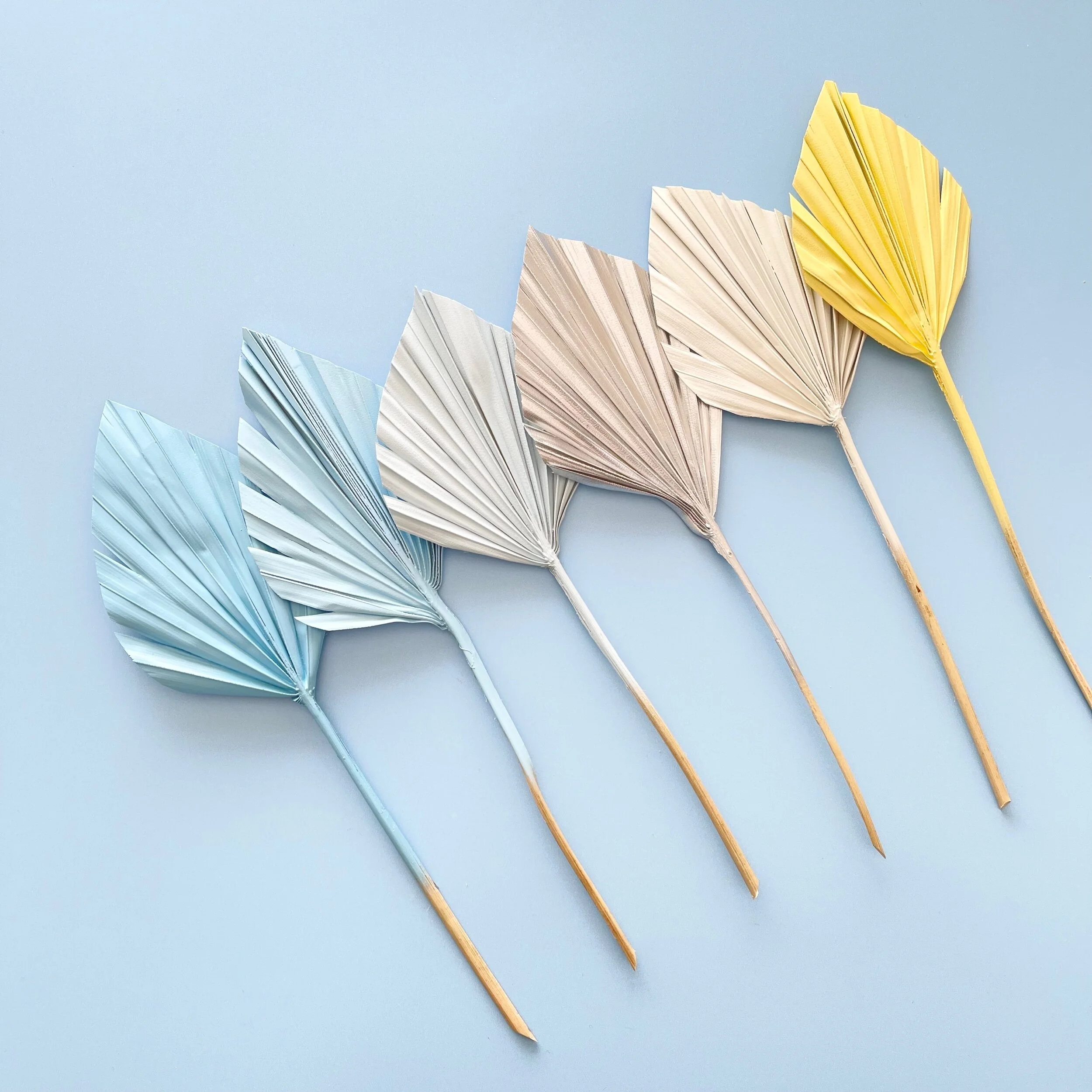 3EF53CAF-8DF3-477E-8DE6-09BBA174E04B