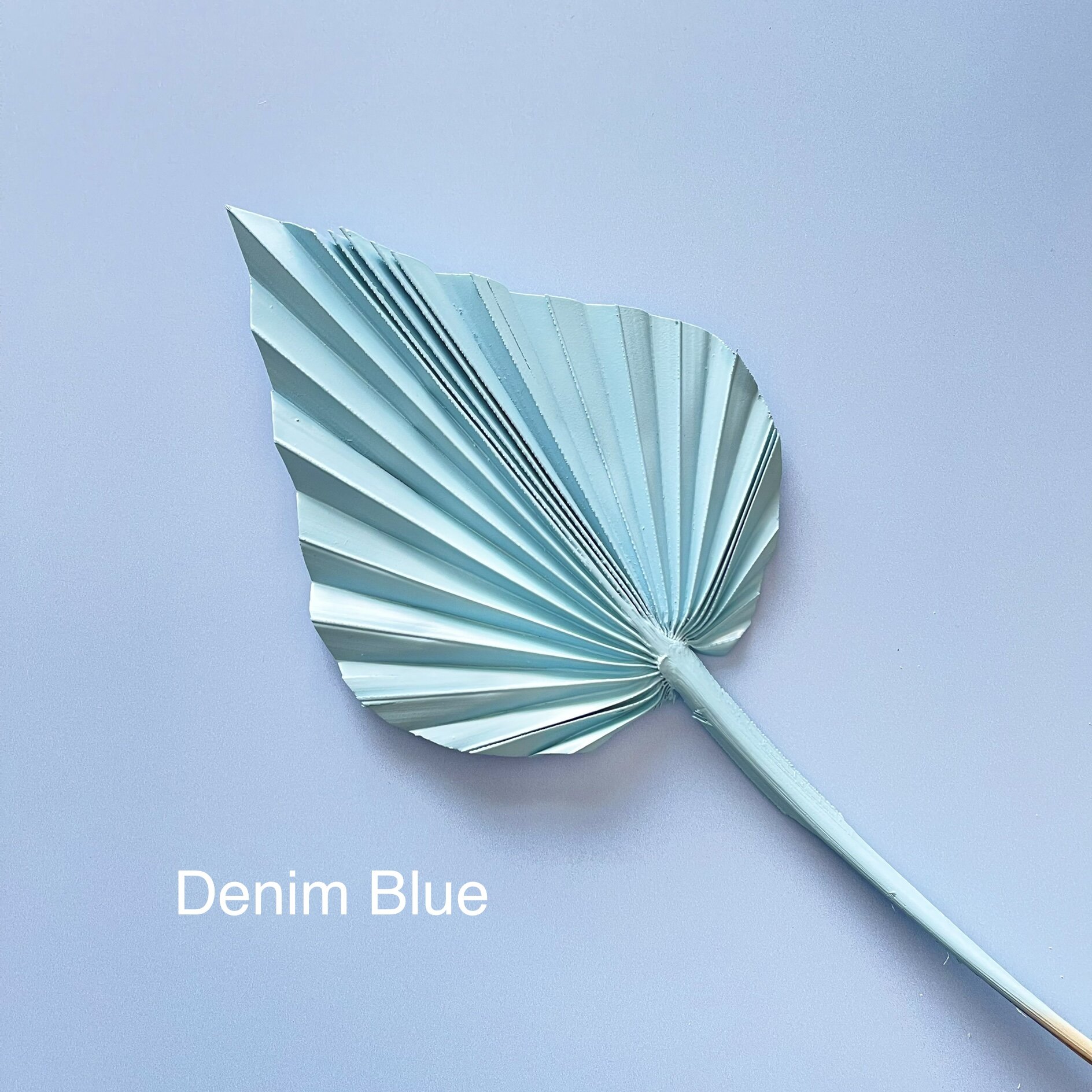 09F7718A-A8A8-435E-BBB7-B08F5368DBB2