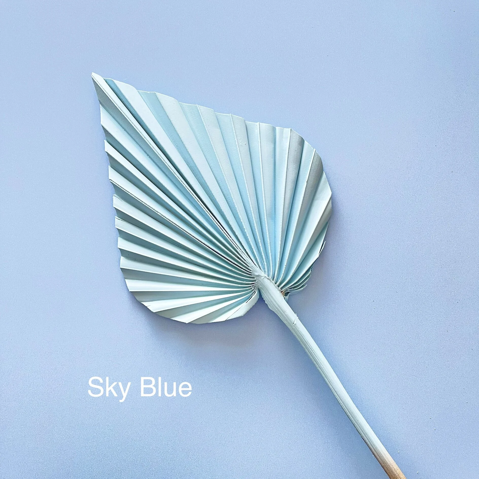 898C6213-C8A2-4C89-A026-E729BC607D7C