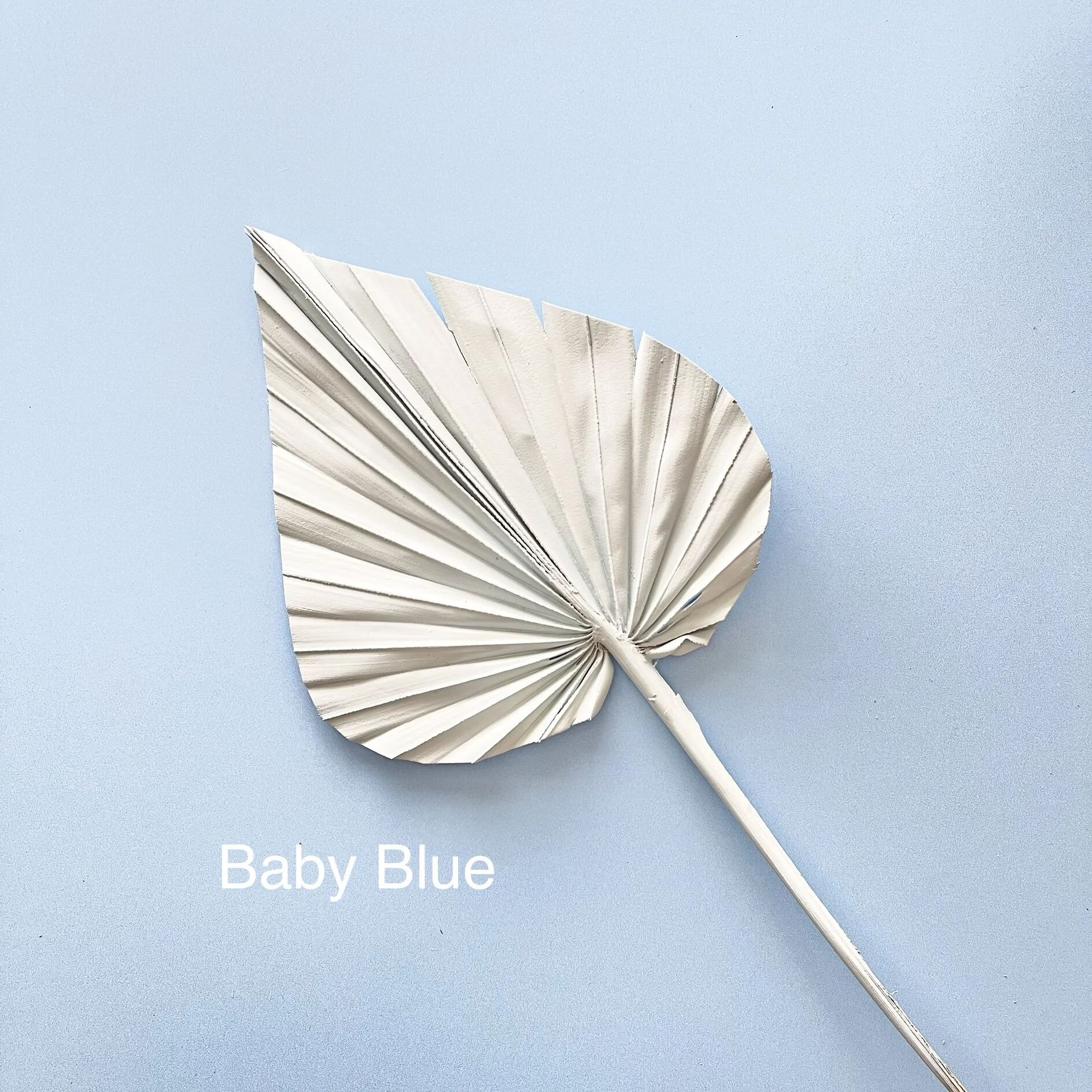 080E2BBD-40B6-44F8-AEA3-E7A75FEBAC02