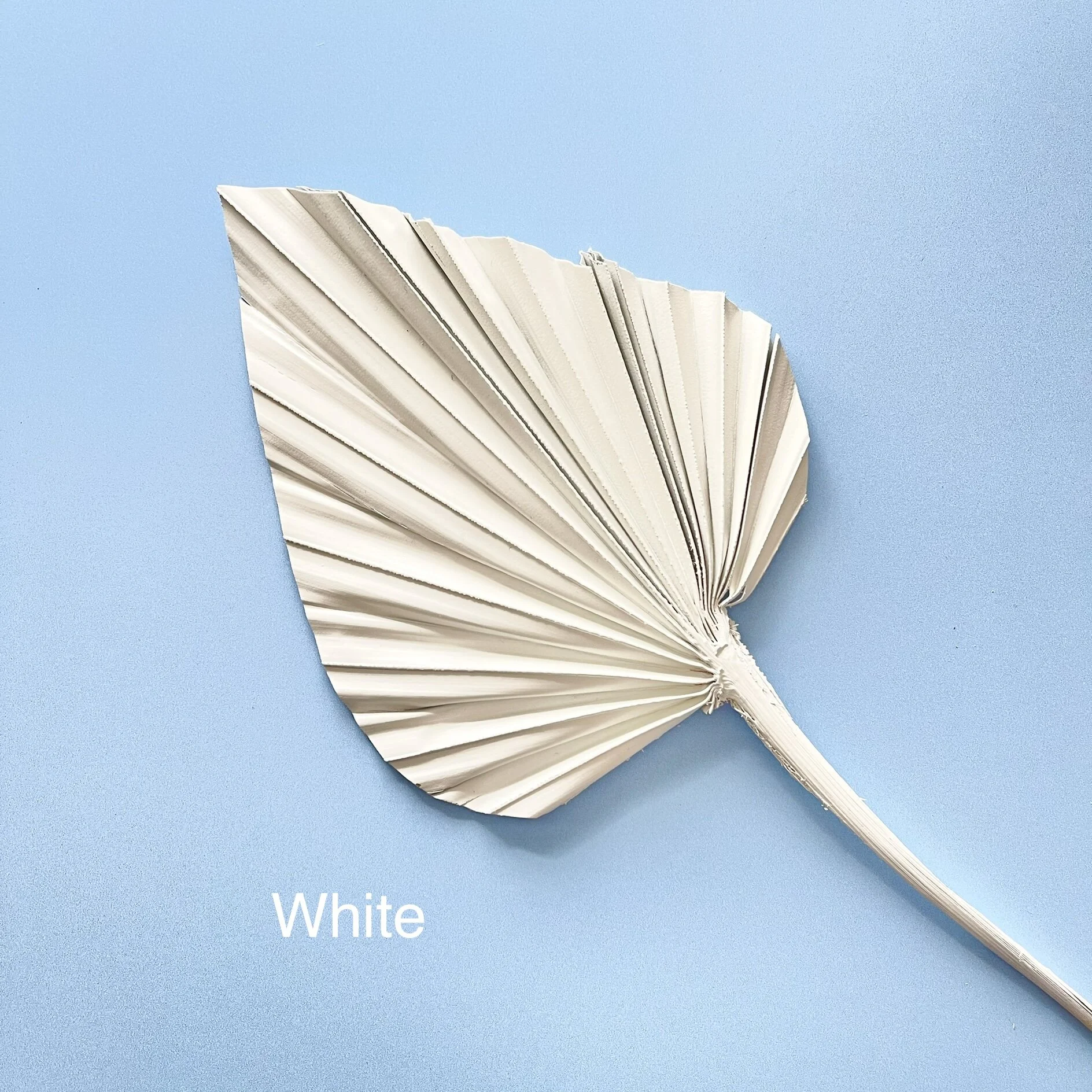 50A9F110-1AE7-474E-AB87-17996C6B4EC6