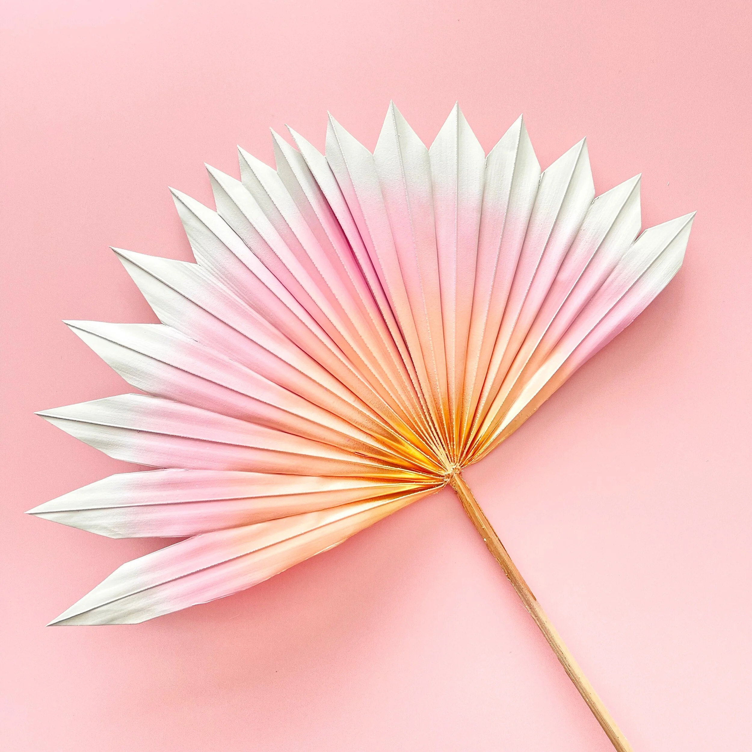 70CF32B8-DBAC-4C61-A066-8174BB0E68A6