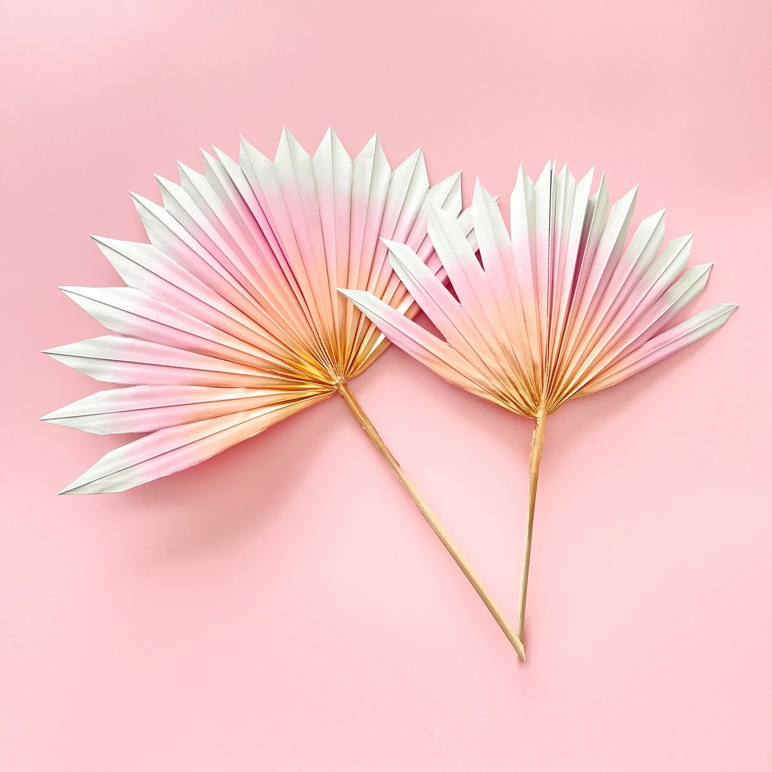 2F81A13F-74A5-4EC2-89BC-4ADF627C934F