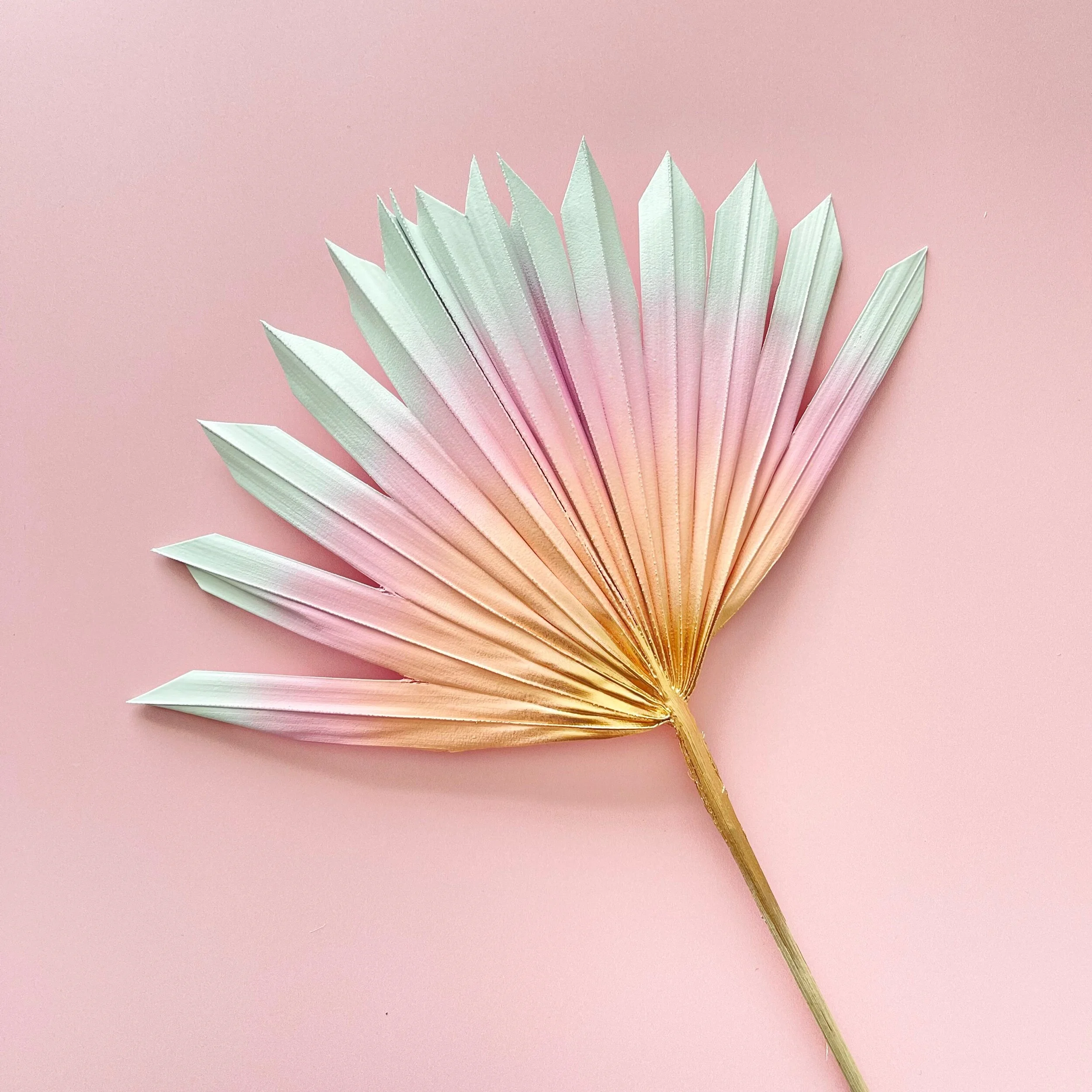 2DAC9428-EDEC-40A8-9EA3-BC78460184C0