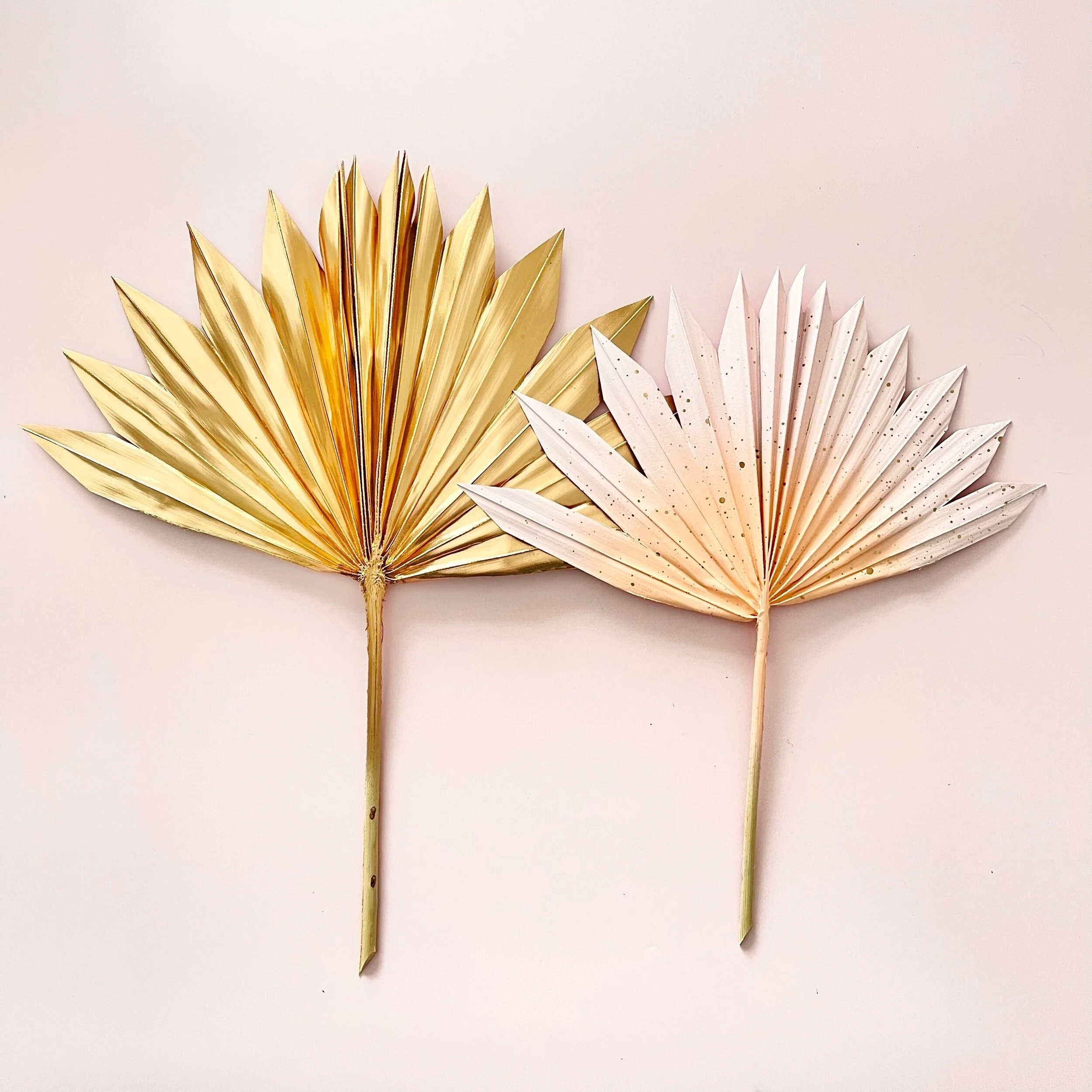 458D974D-8CA3-4030-9123-6D2EA035D437