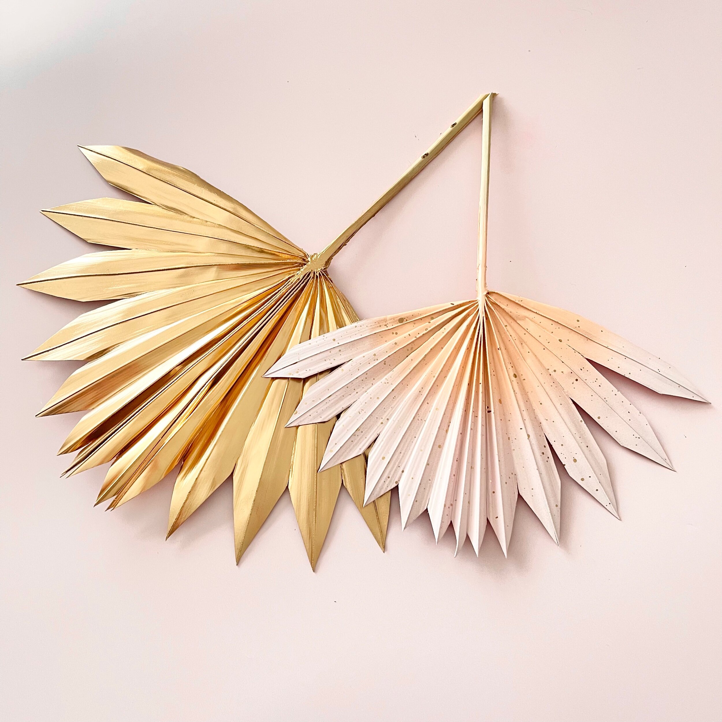 DD8BC9D5-47B5-4870-9D21-C3DFE3E5EA6E