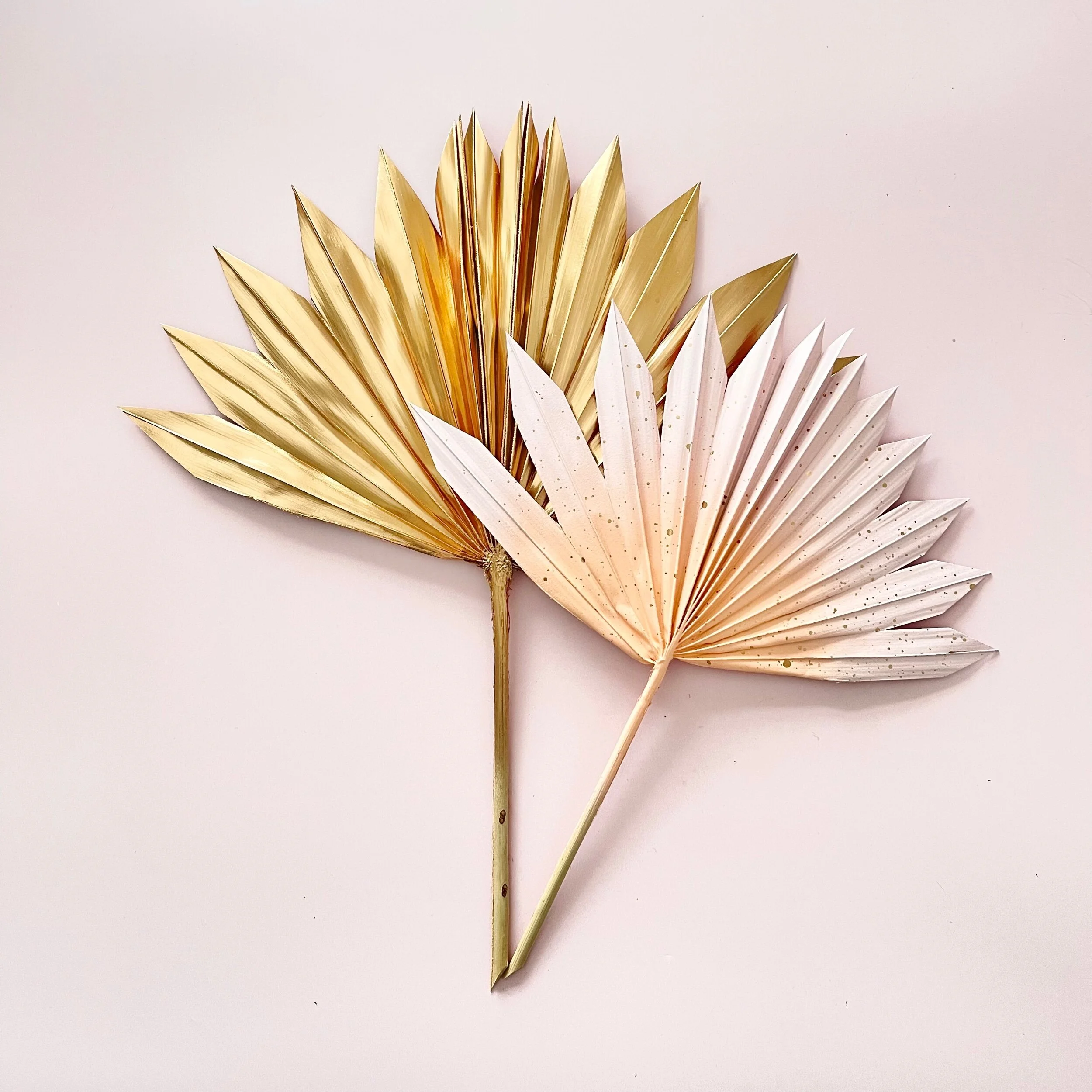 11BD2CD4-9280-4AFD-A27F-A5A4585DE5E5