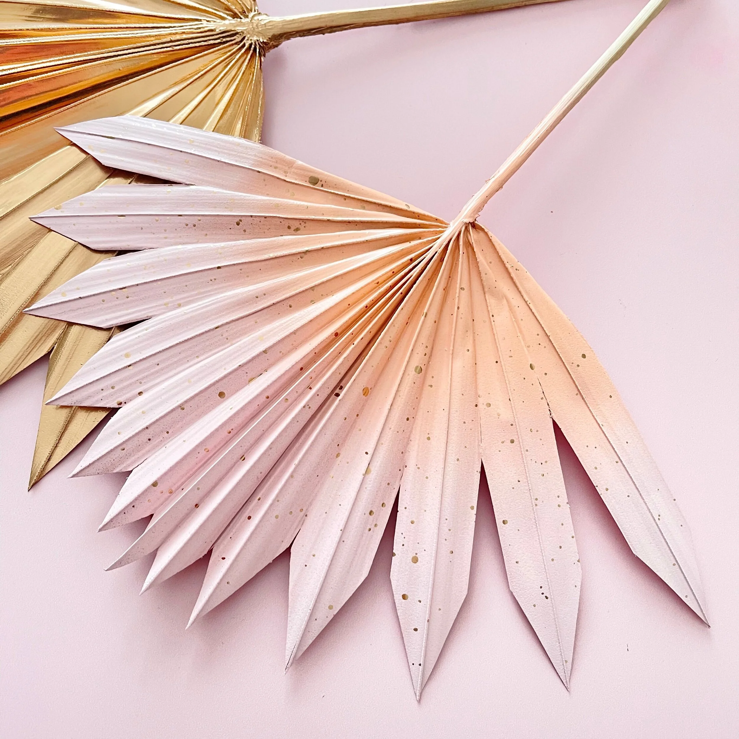 6457FA33-BF31-48E4-940C-E5421345C4B9