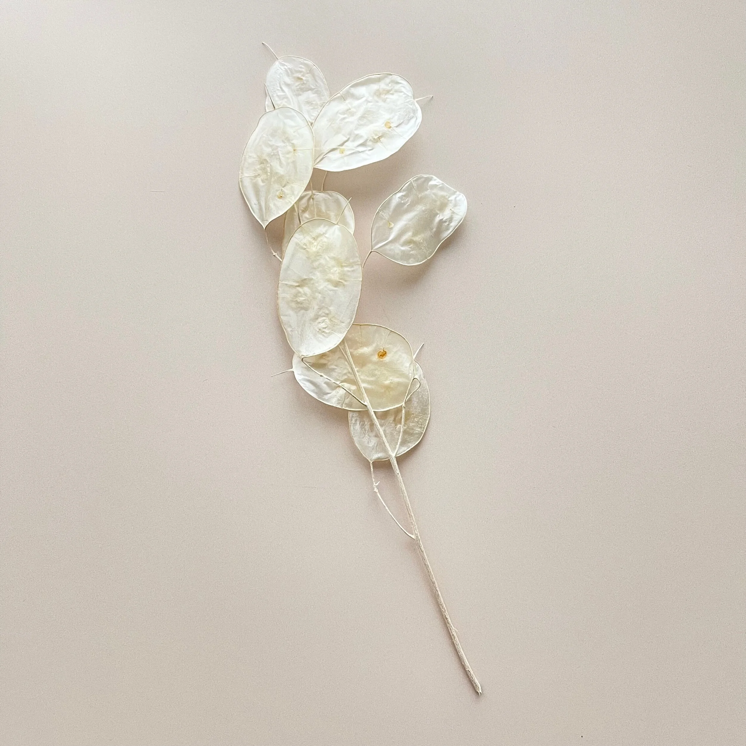 0A235FEC-3F43-4B18-BB0C-B78F7FF56EC6