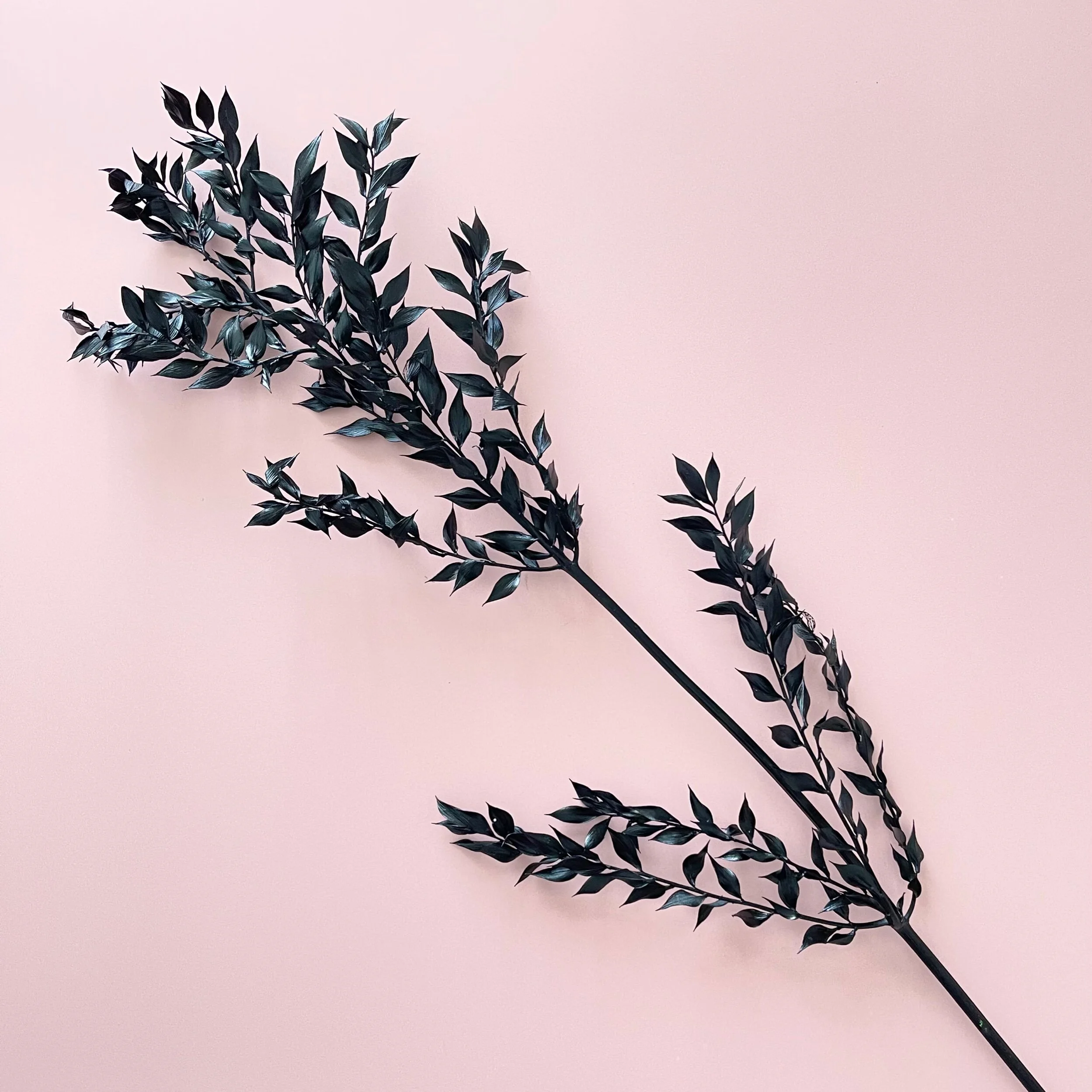 20969AB4-0E2E-4093-8326-11B6E844A560