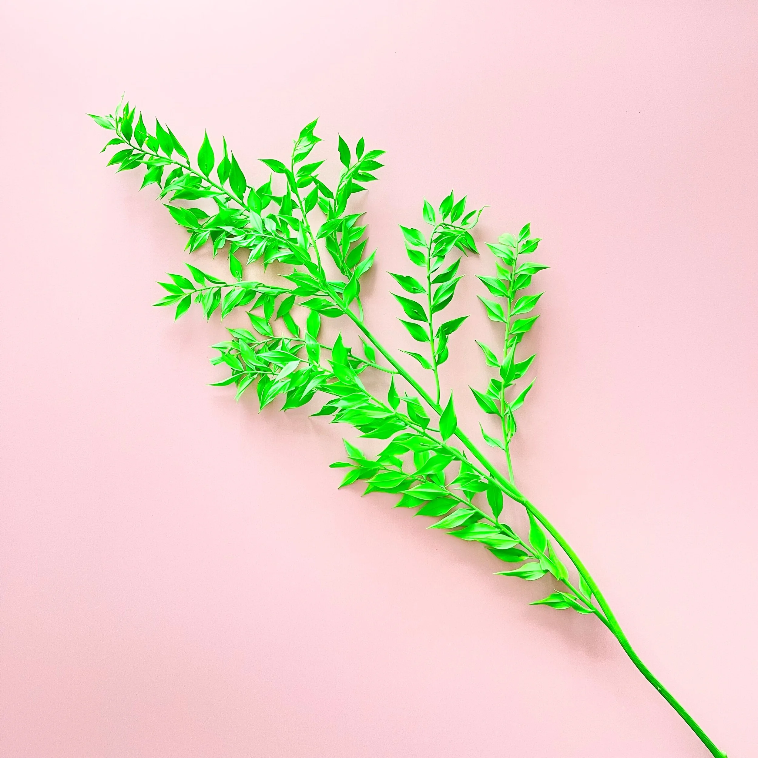 E10D2F70-D28E-4BC5-B77A-E7BDDF4171FA