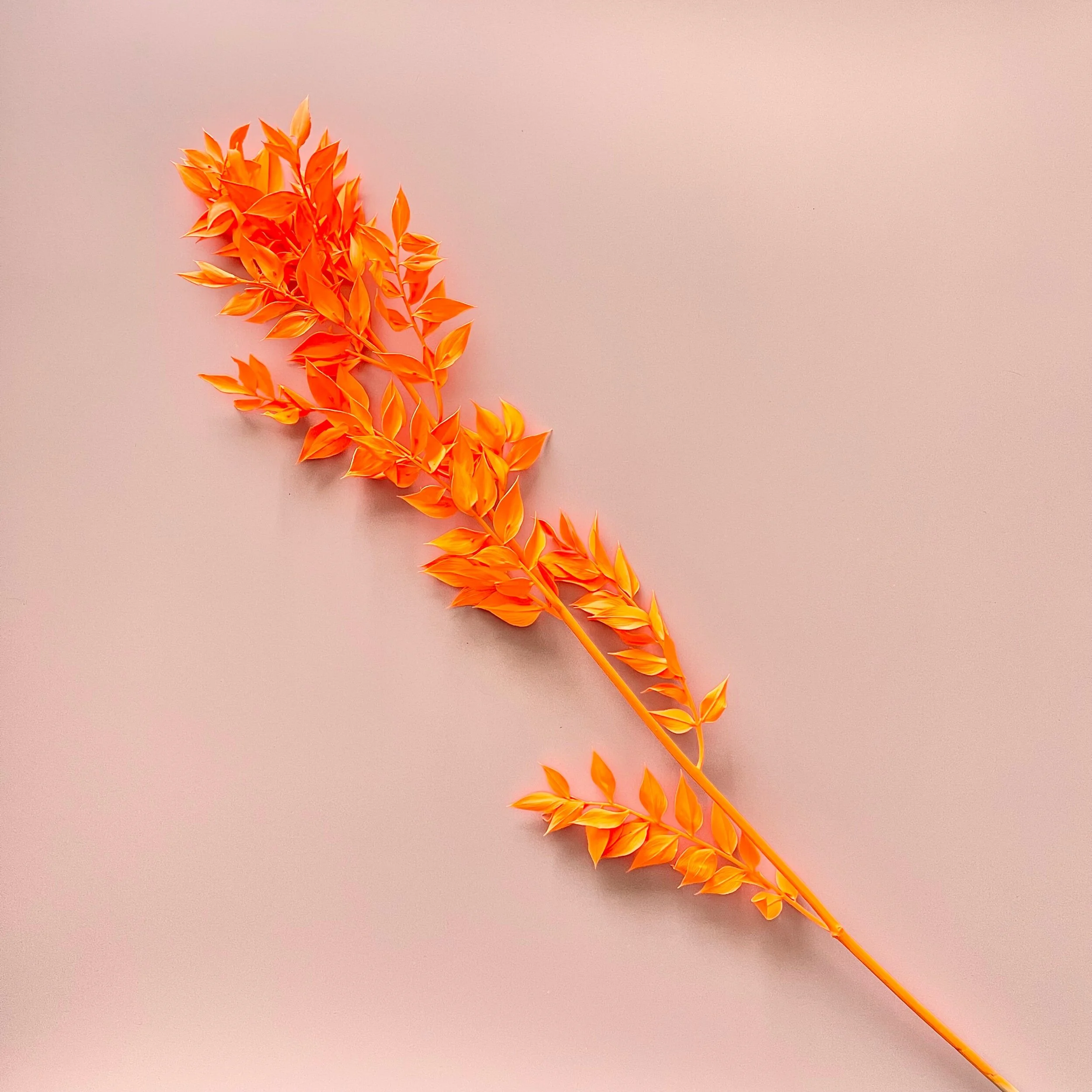 ED080FEB-6A8B-4165-A1F4-E82A82C52F47