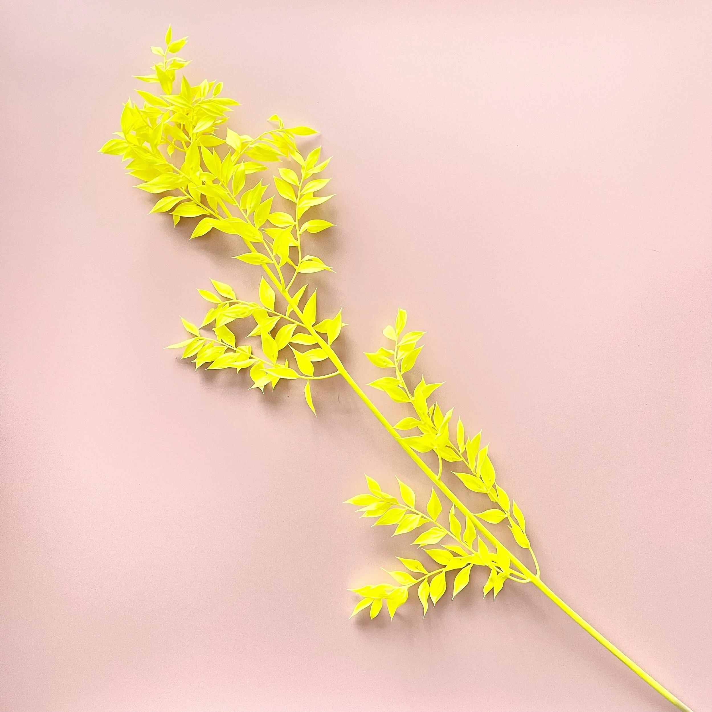 4AD30E81-F6F7-4AFF-ADDF-D6A0CD94CDDD