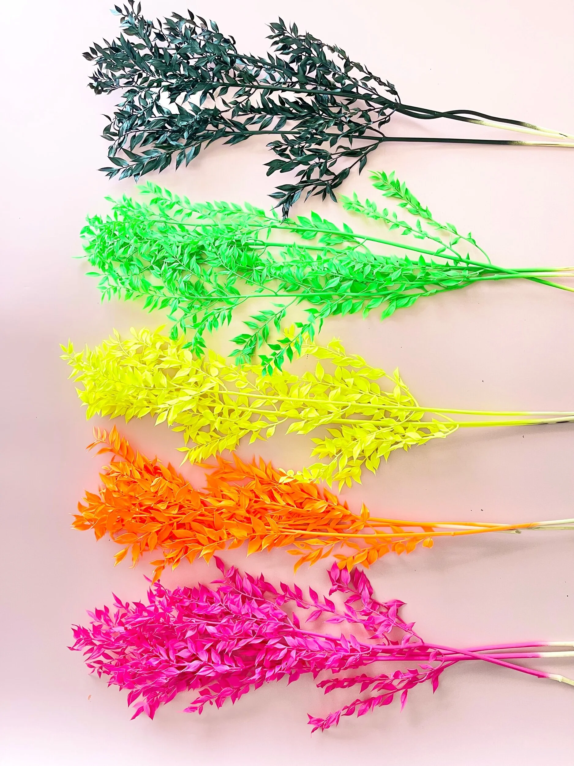 D1138EDC-1D3C-421F-BB8C-DC33C3C65D4E