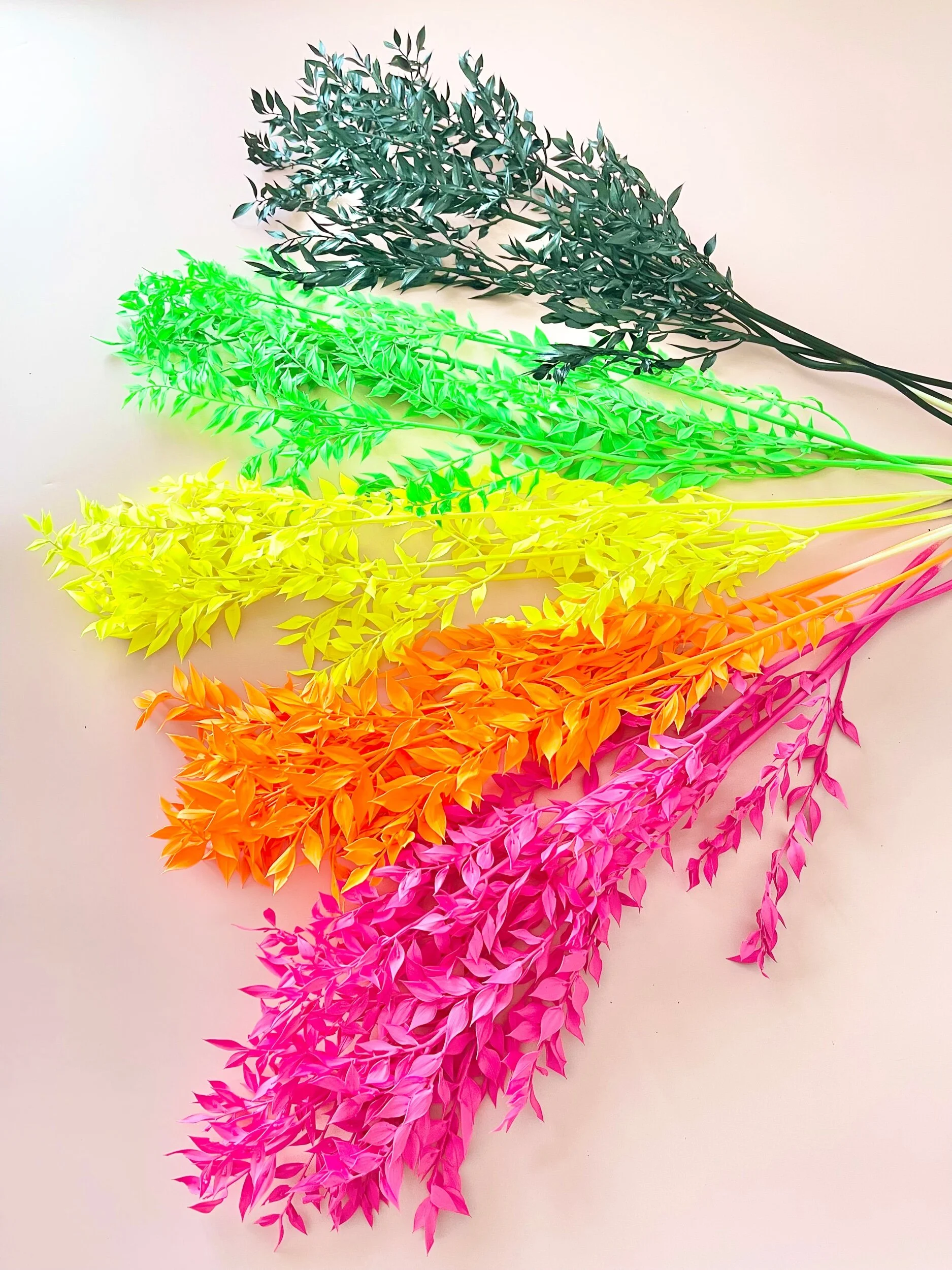 0BB0206C-CA12-4D48-B286-FE744B5F9B4A