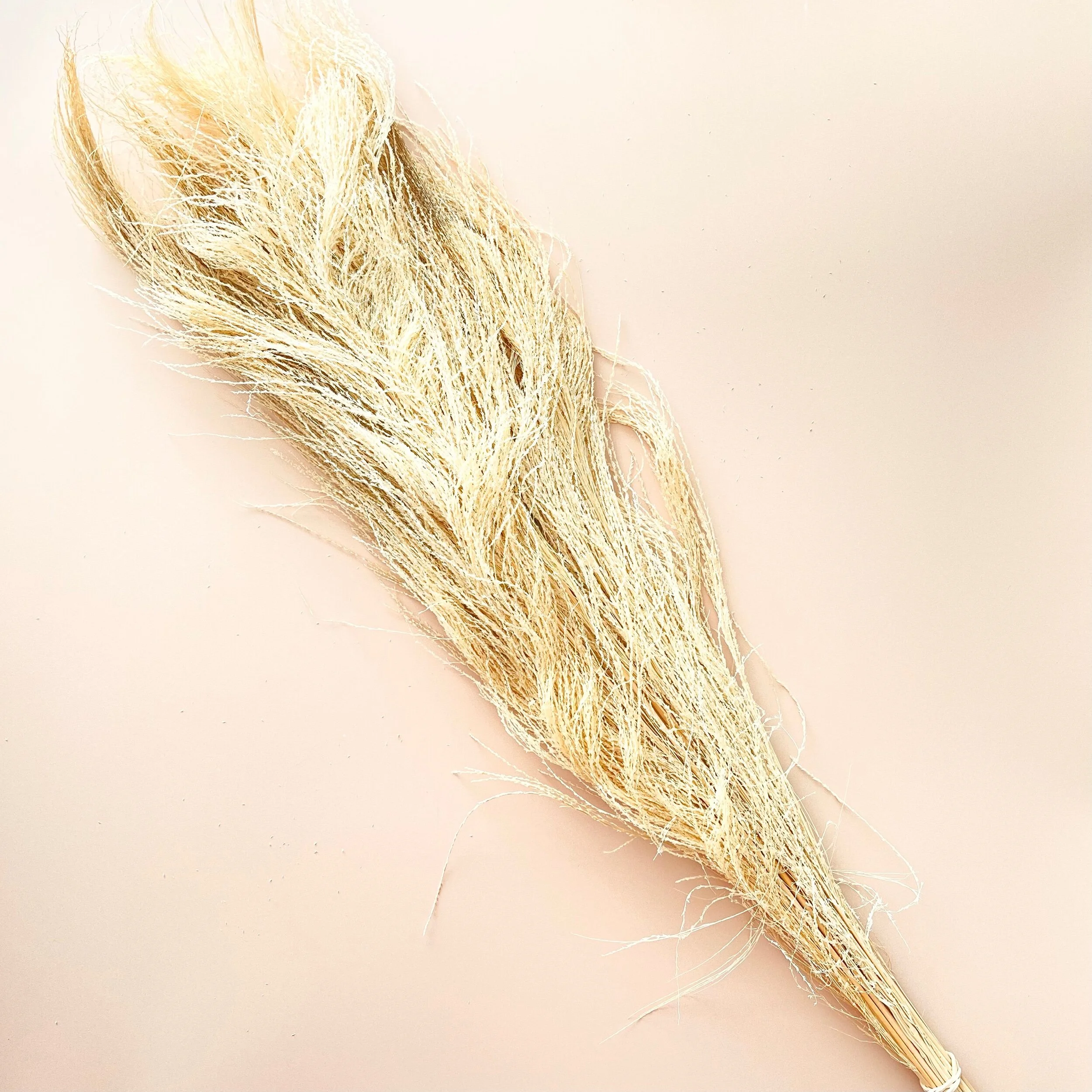 641DF534-85CB-460C-BA60-BE5289B24122