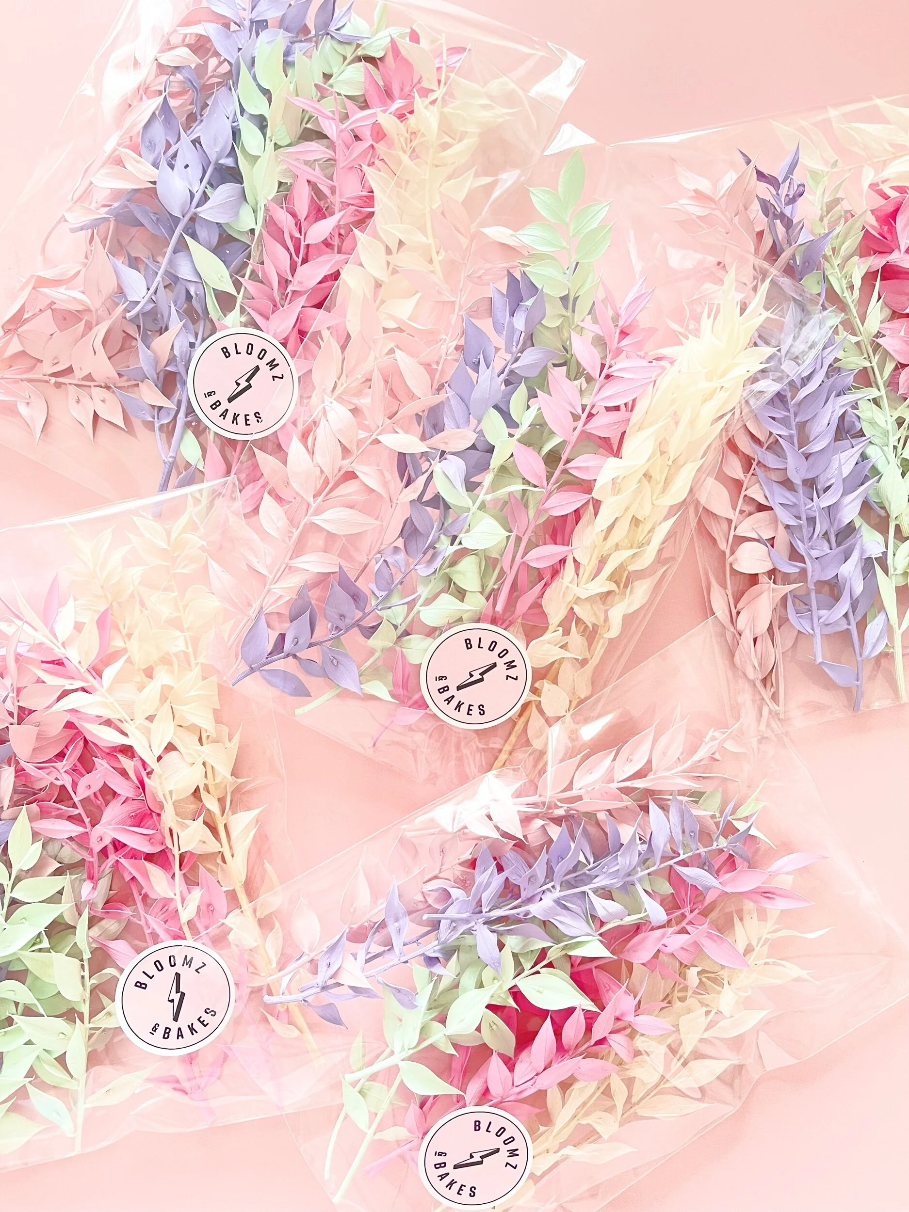 B22CF347-5B26-4E3F-B42A-226F2DC0EAF6