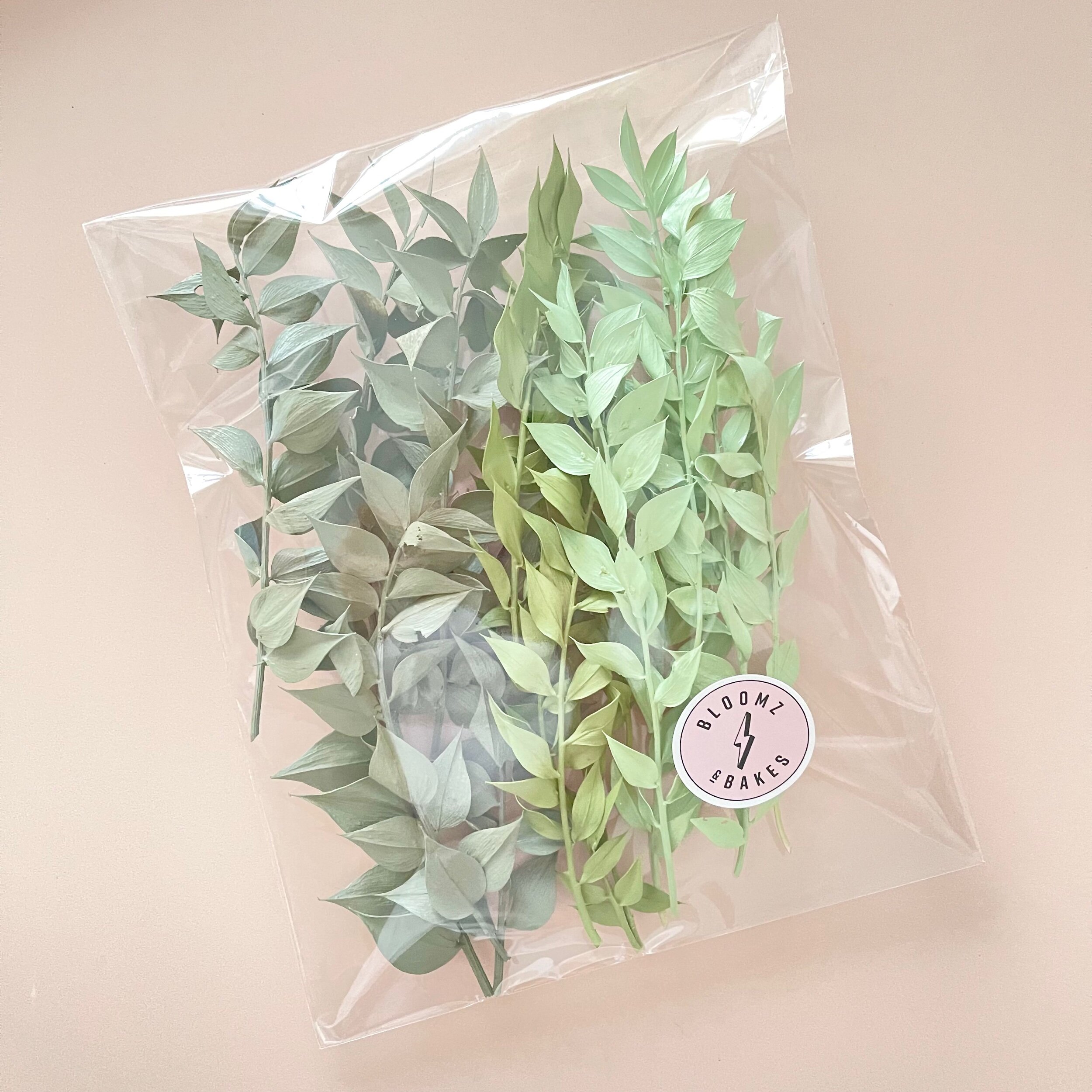 D6463611-F589-491B-A05B-E9827BD50442