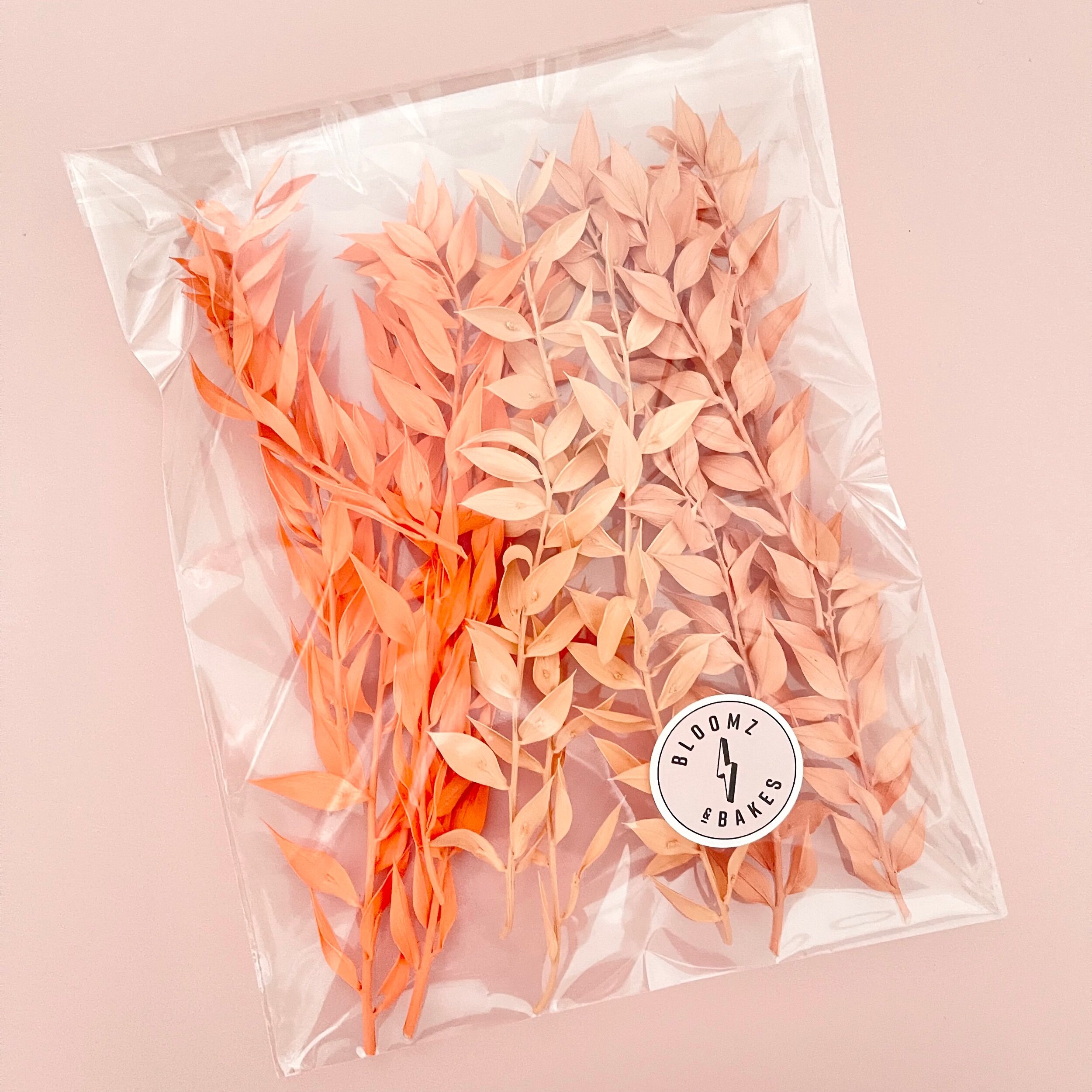 ED8CC912-F34B-4485-8AC0-7DCA25D60A7D