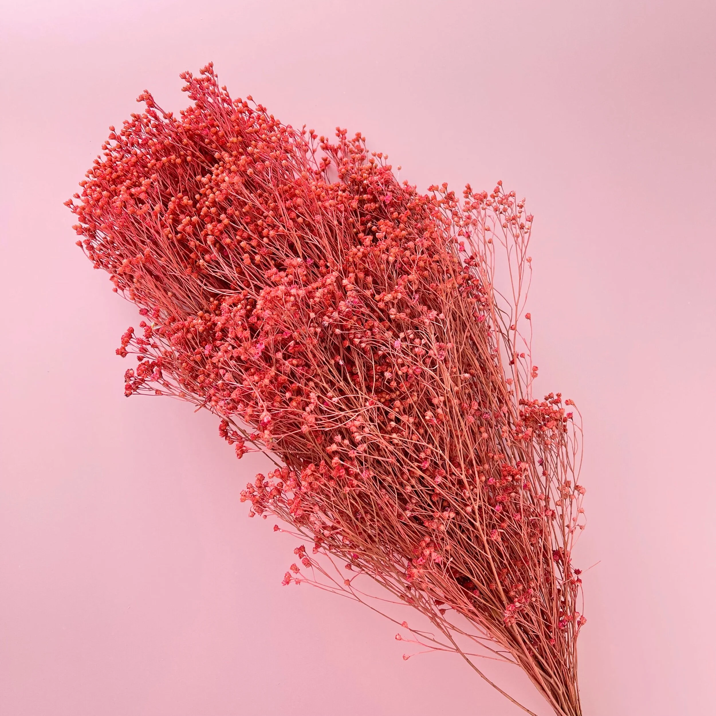 AC55A8D8-6E38-422A-9F84-BD5DE6905FC0