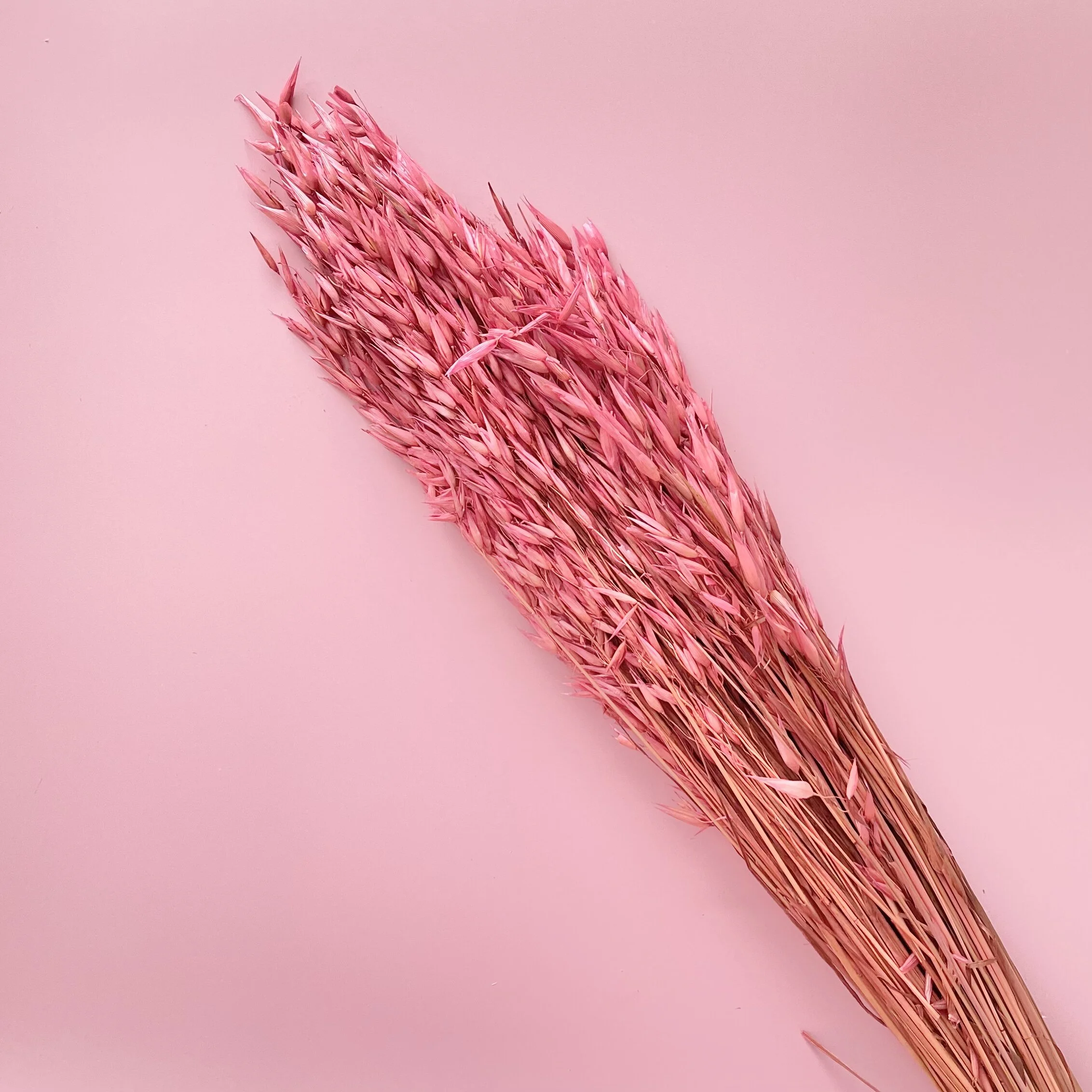 A46CA79A-82C4-4735-81CC-8734ADC8ECE2