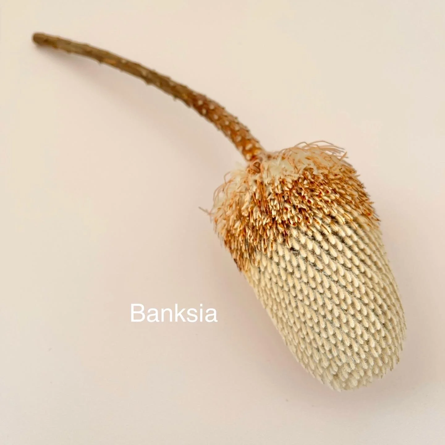 B874B208-1334-458E-8C4C-B0DB74FC42F5