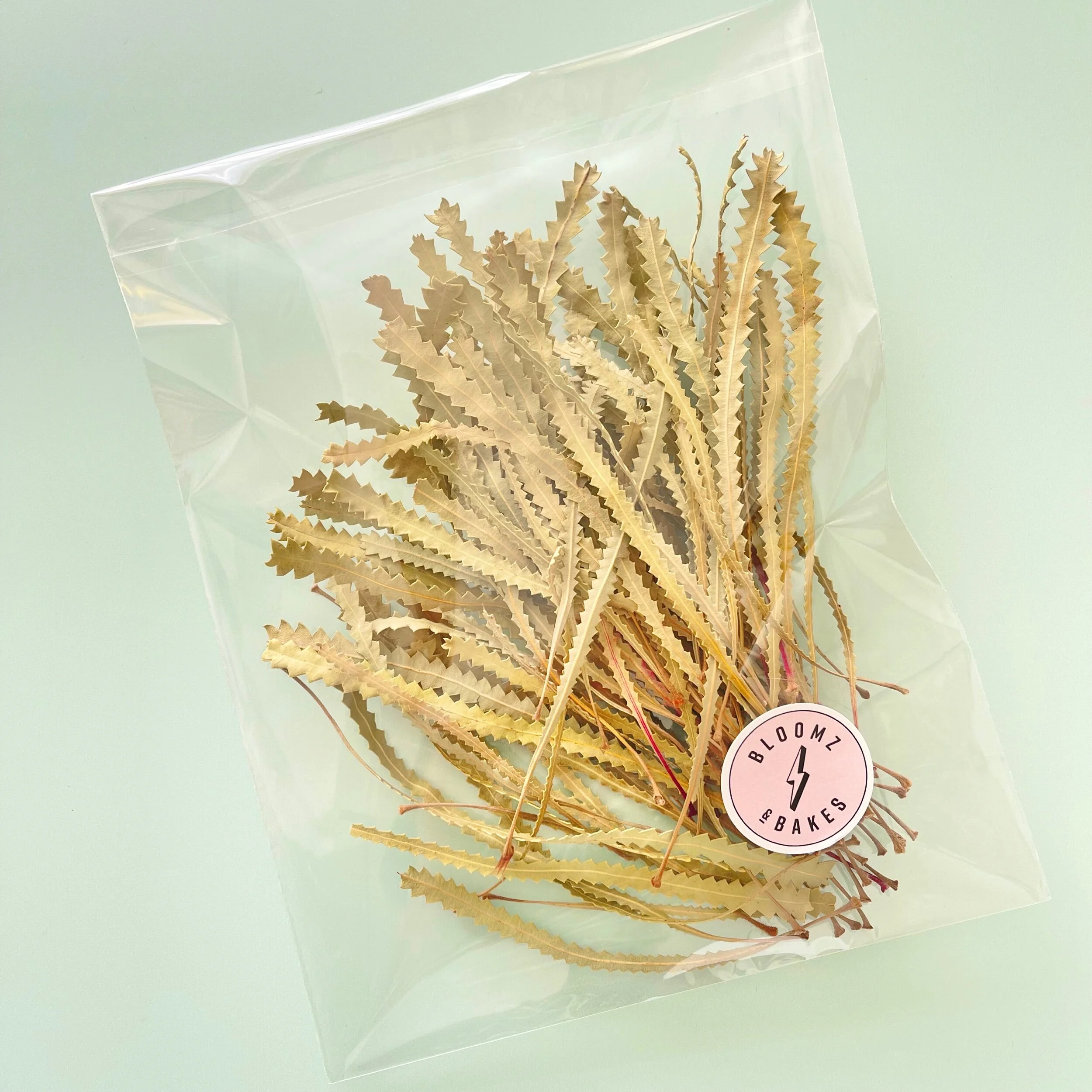 8845C01F-7C08-4209-AEB4-33D6B3E2D9E3