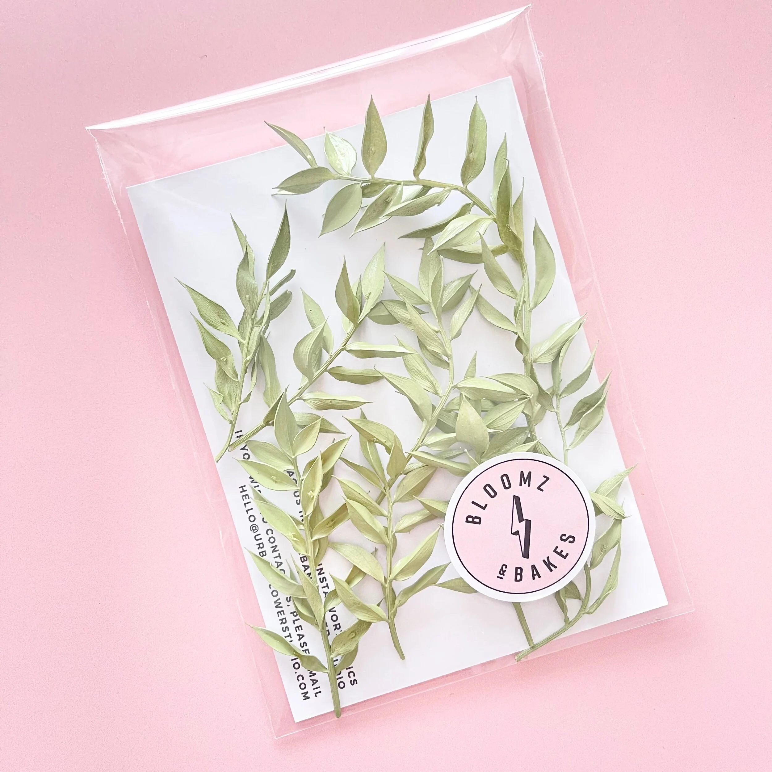 259251CA-B3F5-4A25-8D7E-E81139DFED15