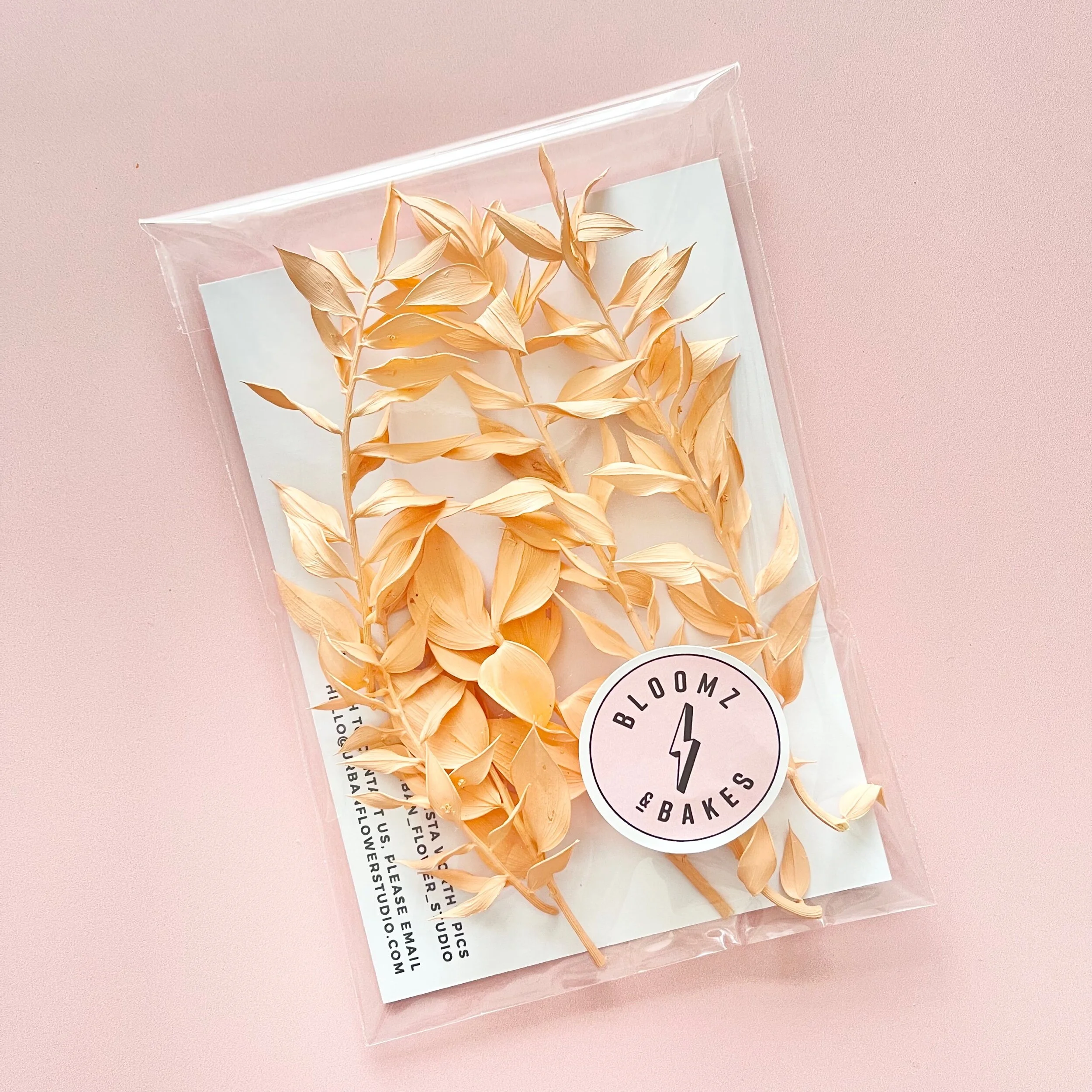 2BA91219-4129-4ED5-994C-2ECEB65B3B41