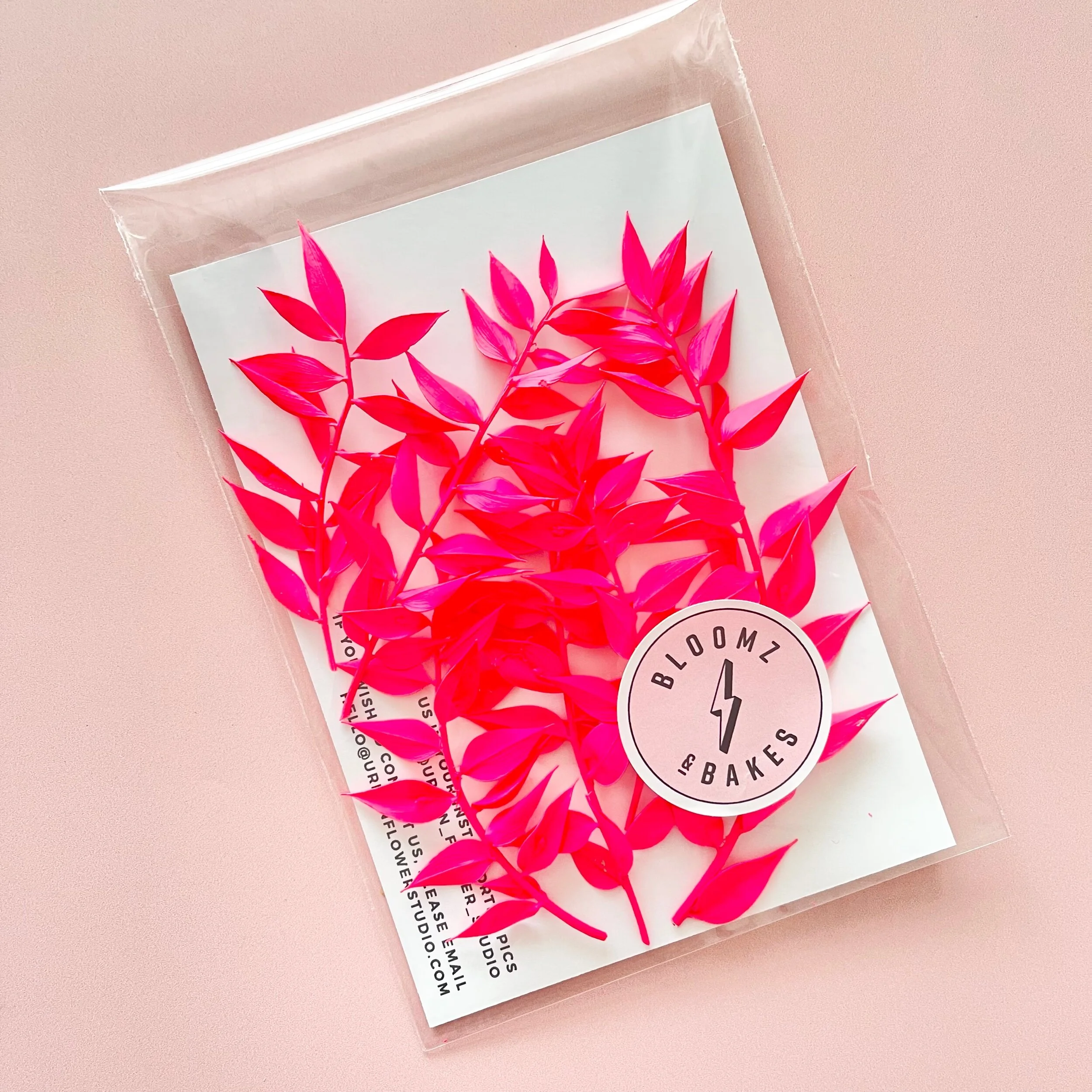 2A489853-6998-434A-8A8E-9947E4DACCE7