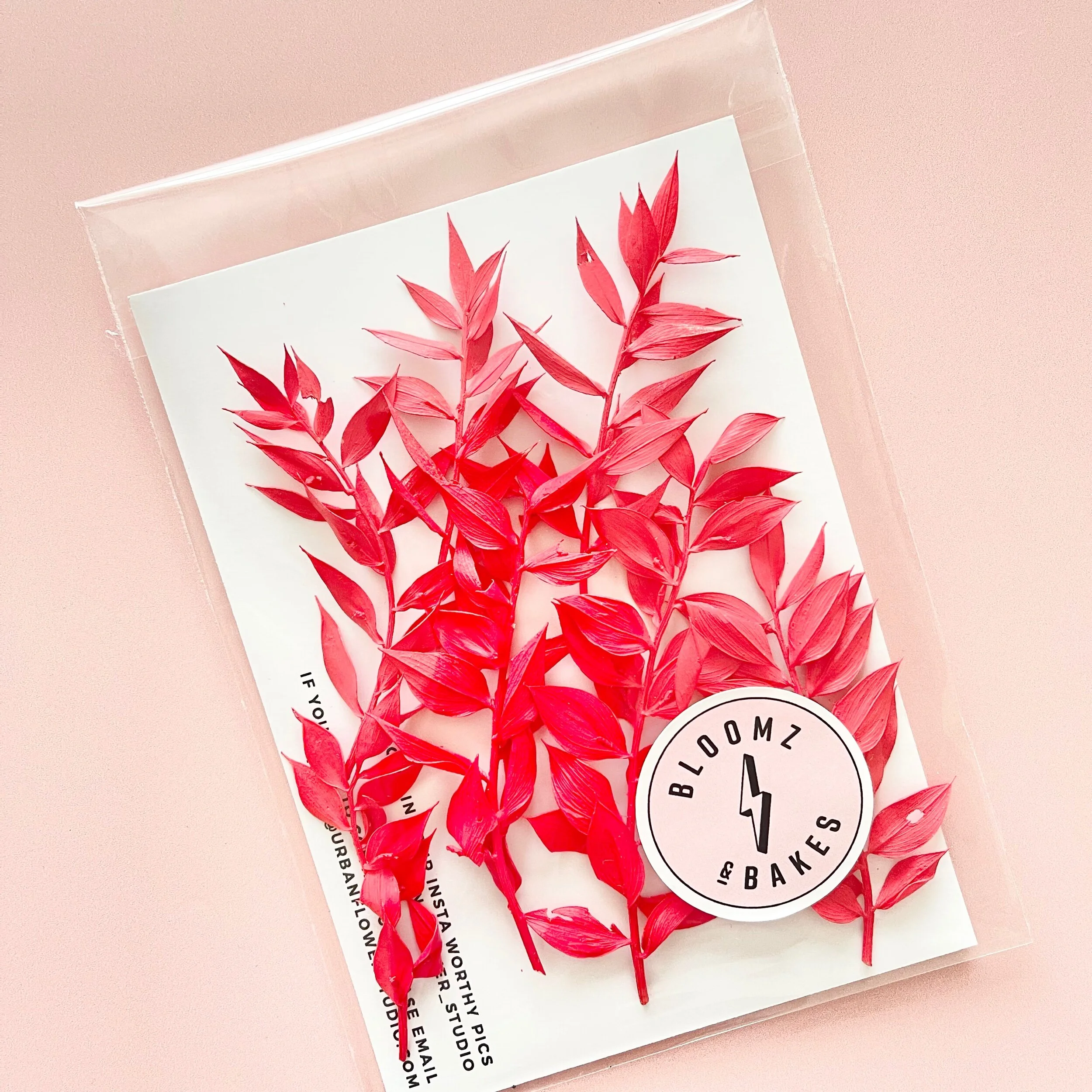 6F2395AE-AFBE-484B-ACAA-FB5A55E2F1E1