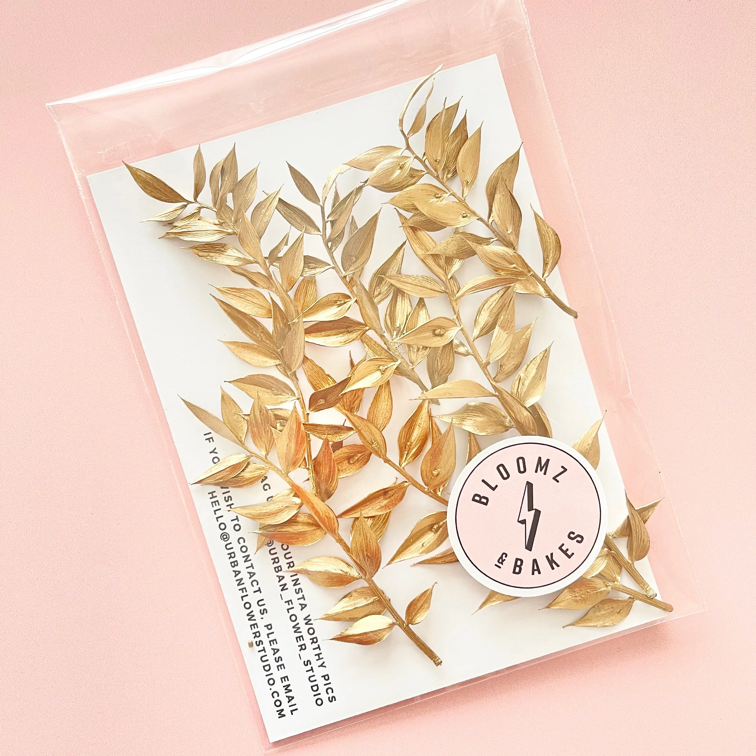 C66C1AD4-07AF-4E12-A737-C5E31222F8FE