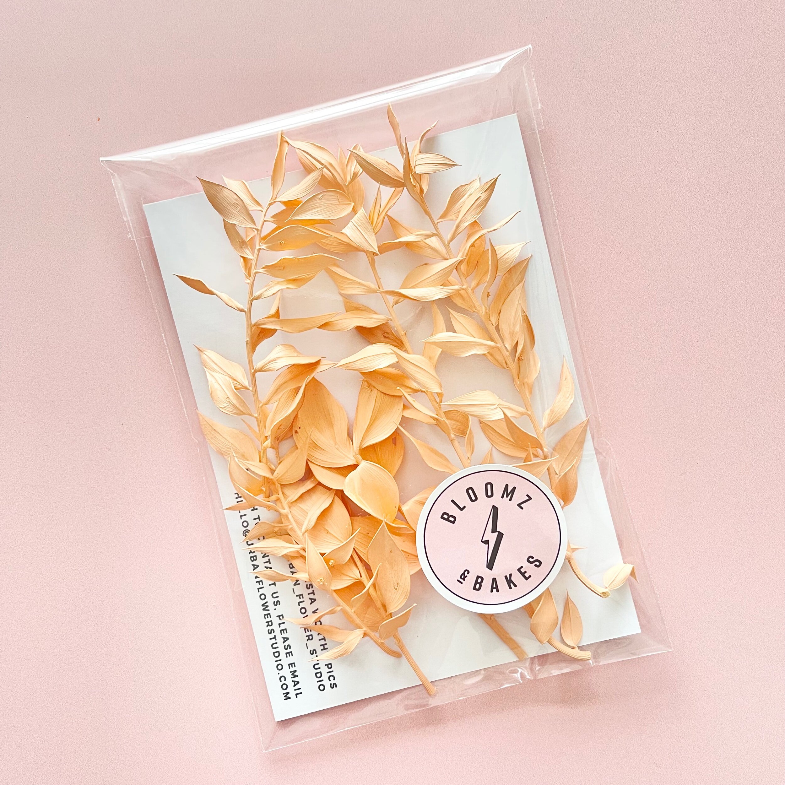 B2839151-14E5-4A7B-8EA2-3AAEB66E6686