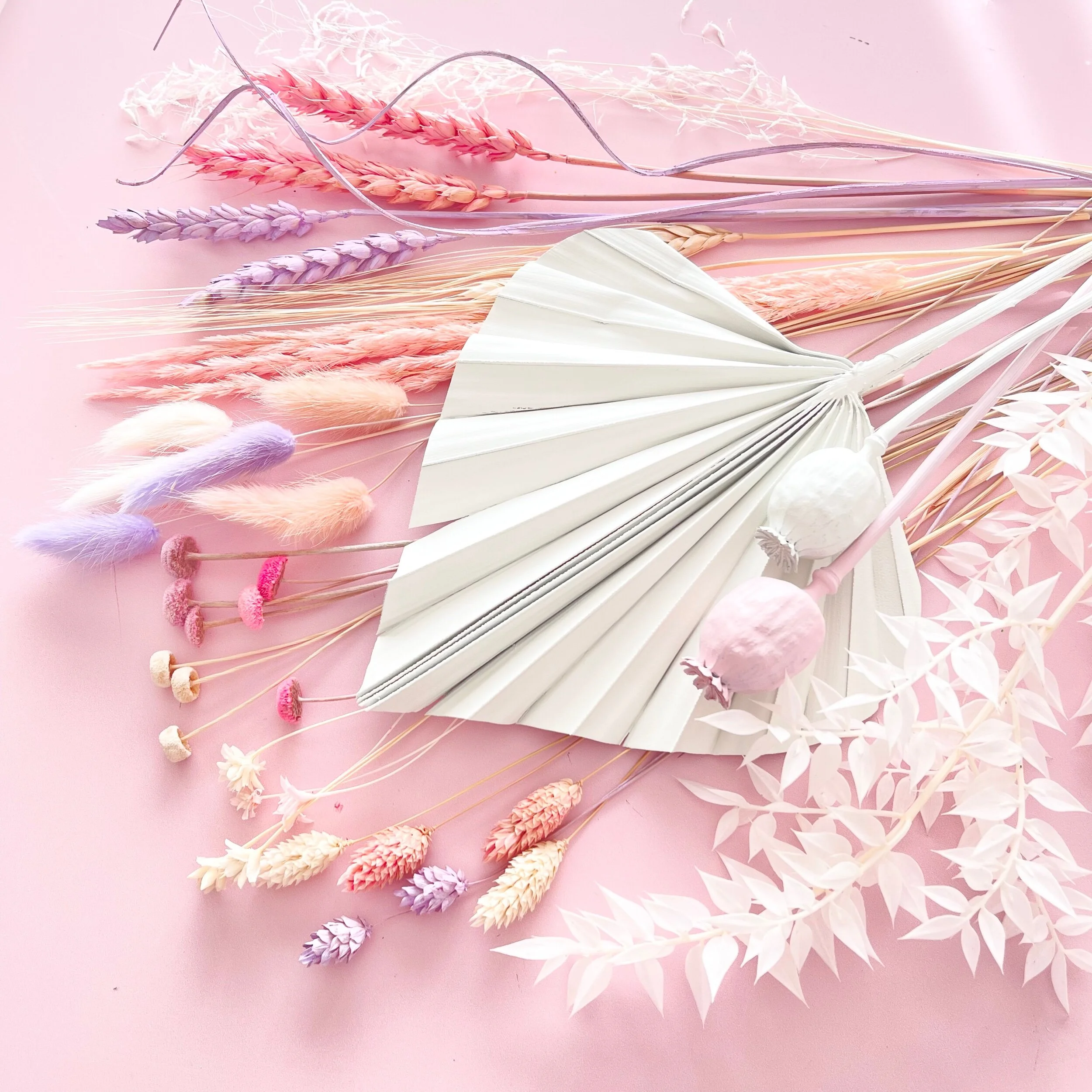 1CF5E2A3-67D2-41D1-A95F-F8469AAC06E7