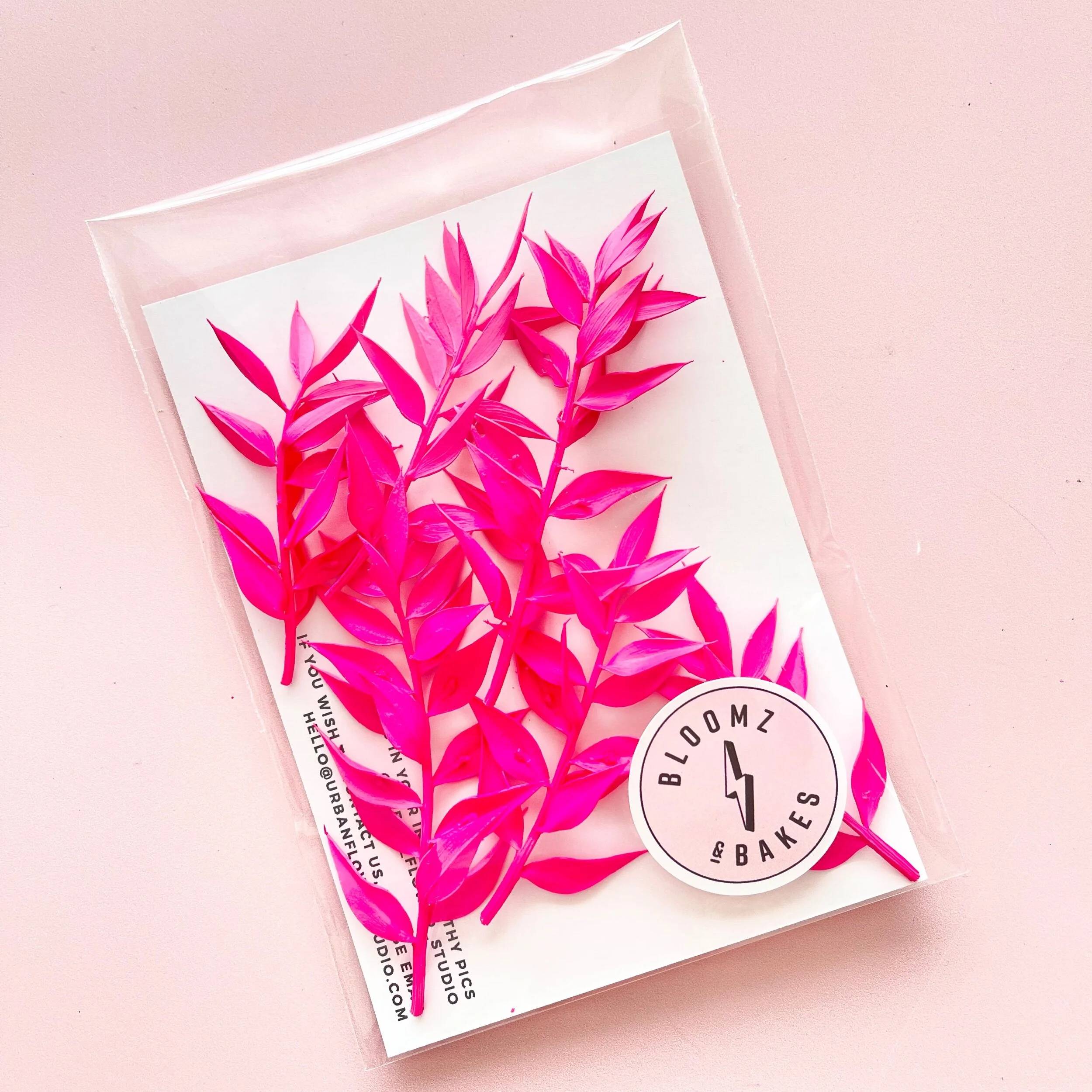 1E229D12-6272-4CC0-B0C7-CA99A6F9D90D