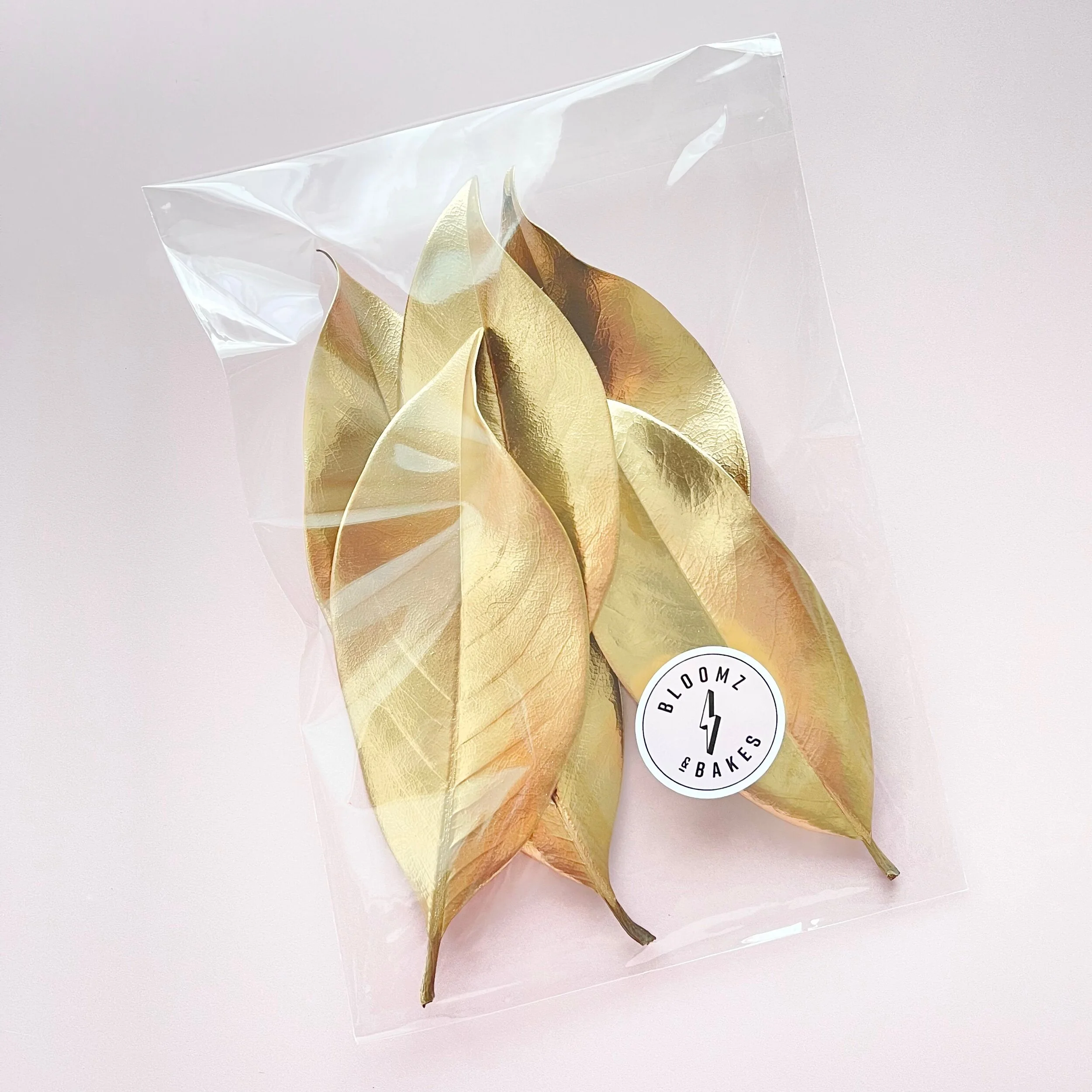 AE3EB393-EDDB-4154-85FC-6C1AD18D3712