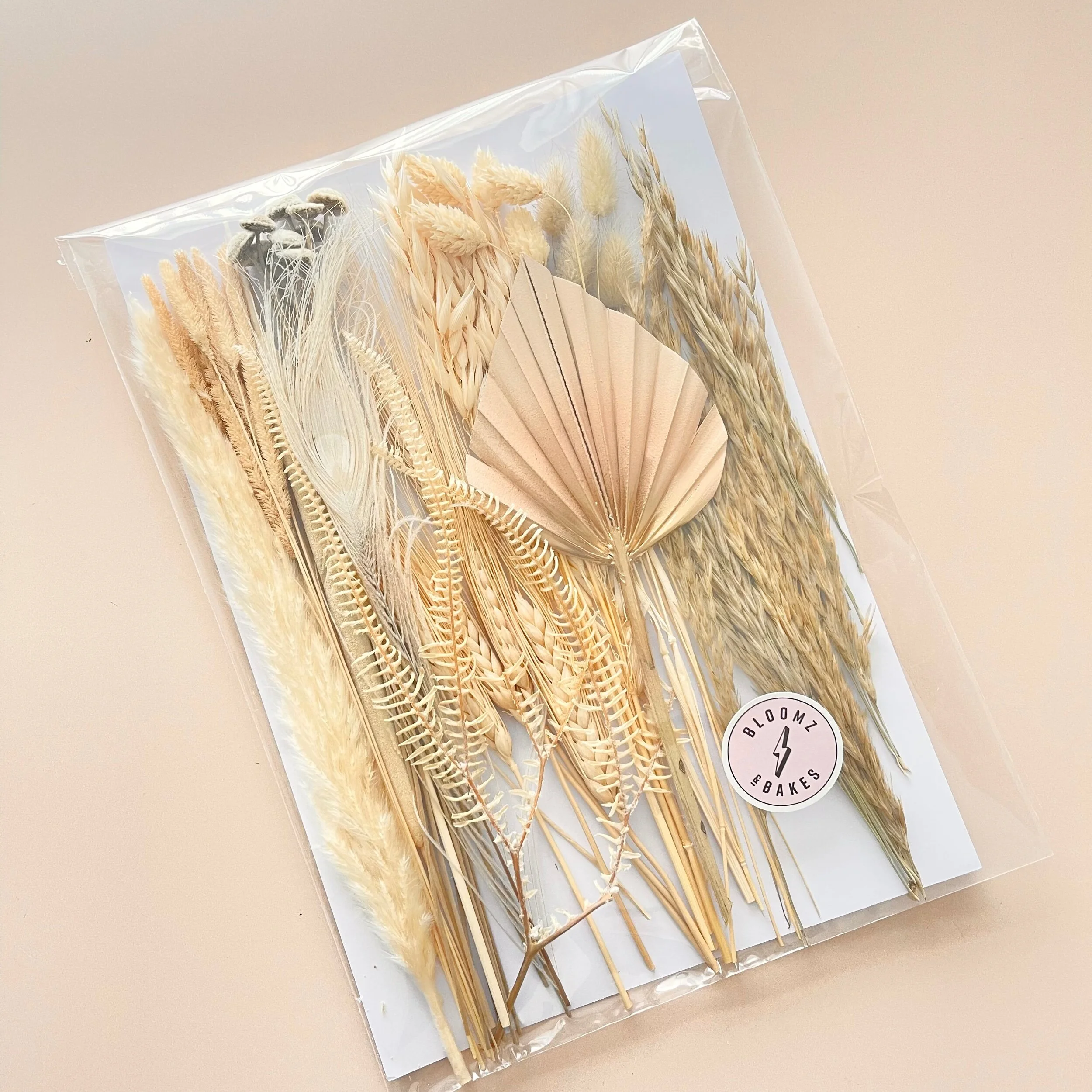 AC559345-05B6-47AD-997F-D5155DB90396