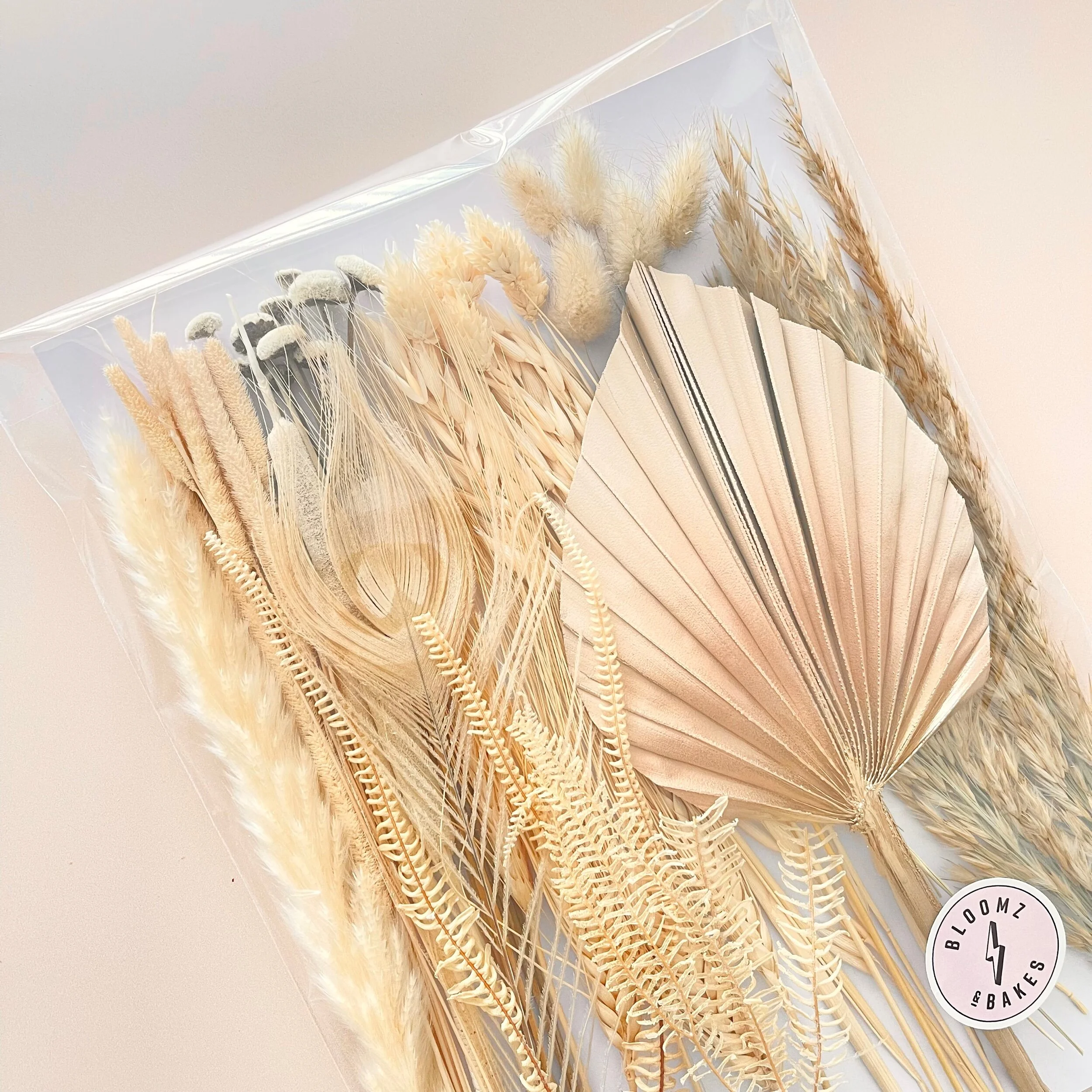 B84B317A-7344-483E-85FF-4DAF950E69D6