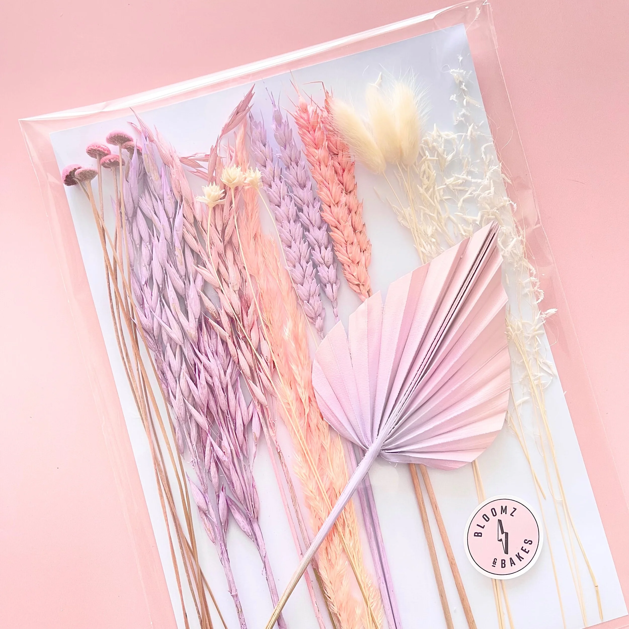 22418333-43C5-4F02-ABC9-C1C993AD2776