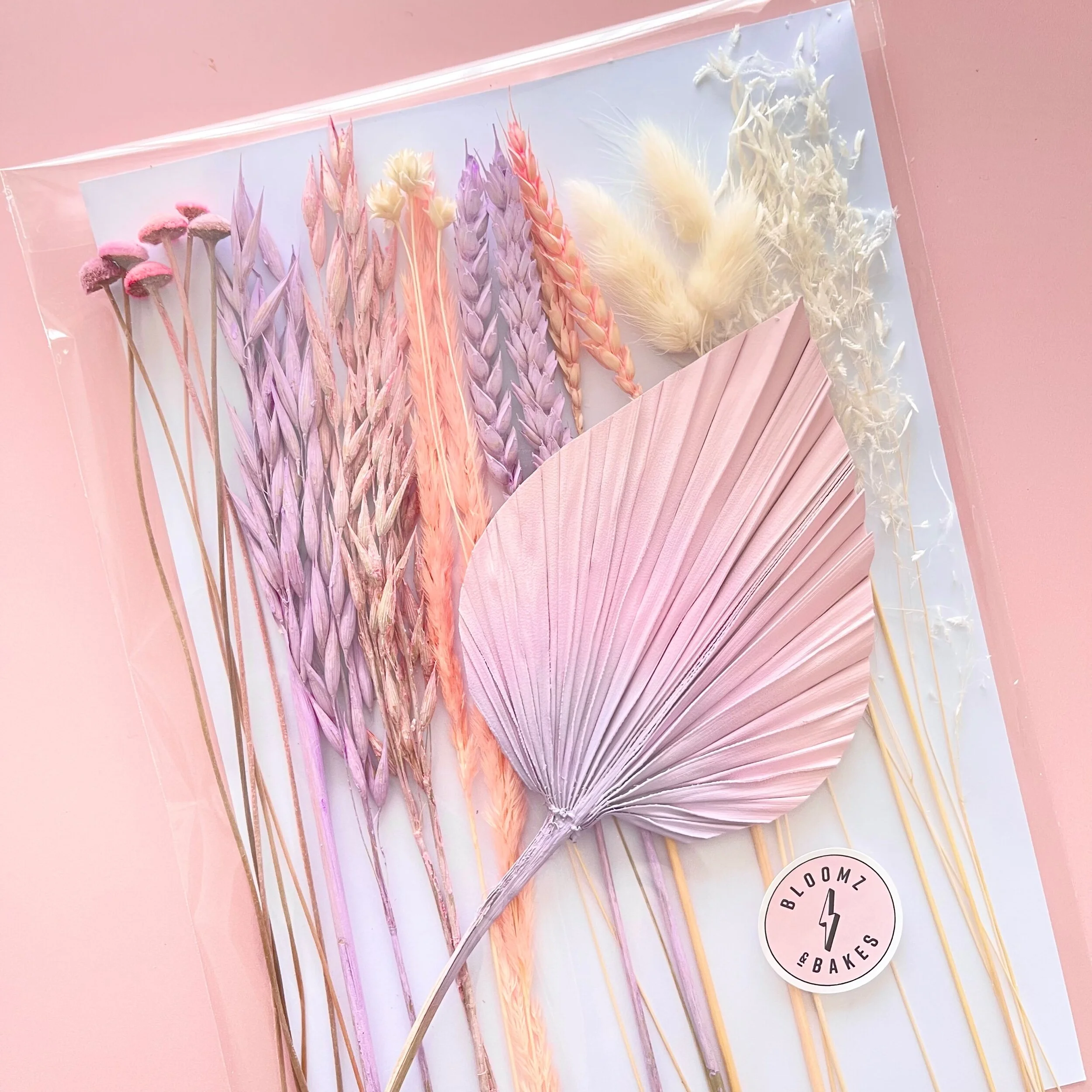 6CE82070-F897-4946-B670-8202A5029A4B