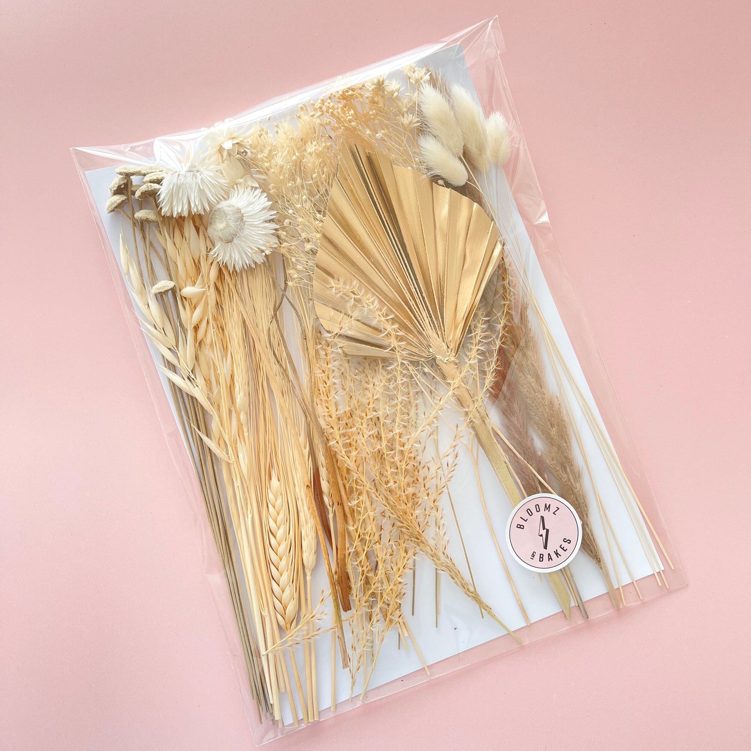 5DE4238D-A5F9-4682-AF1B-838FD1F24109