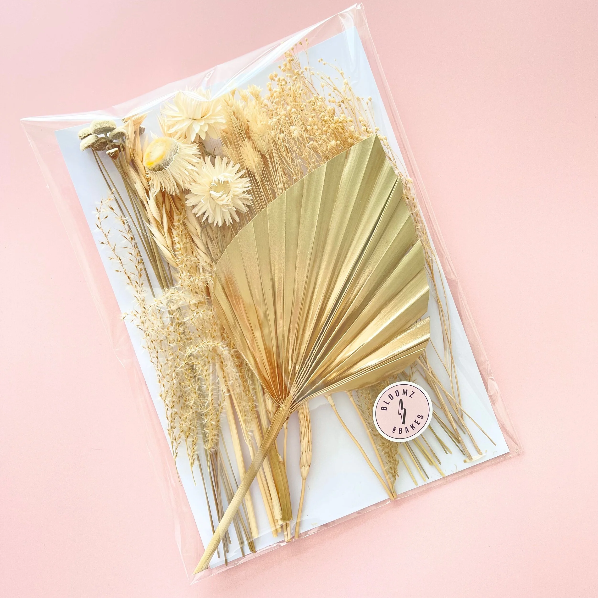 6433AD63-A82E-4581-B954-5A65642E48D7