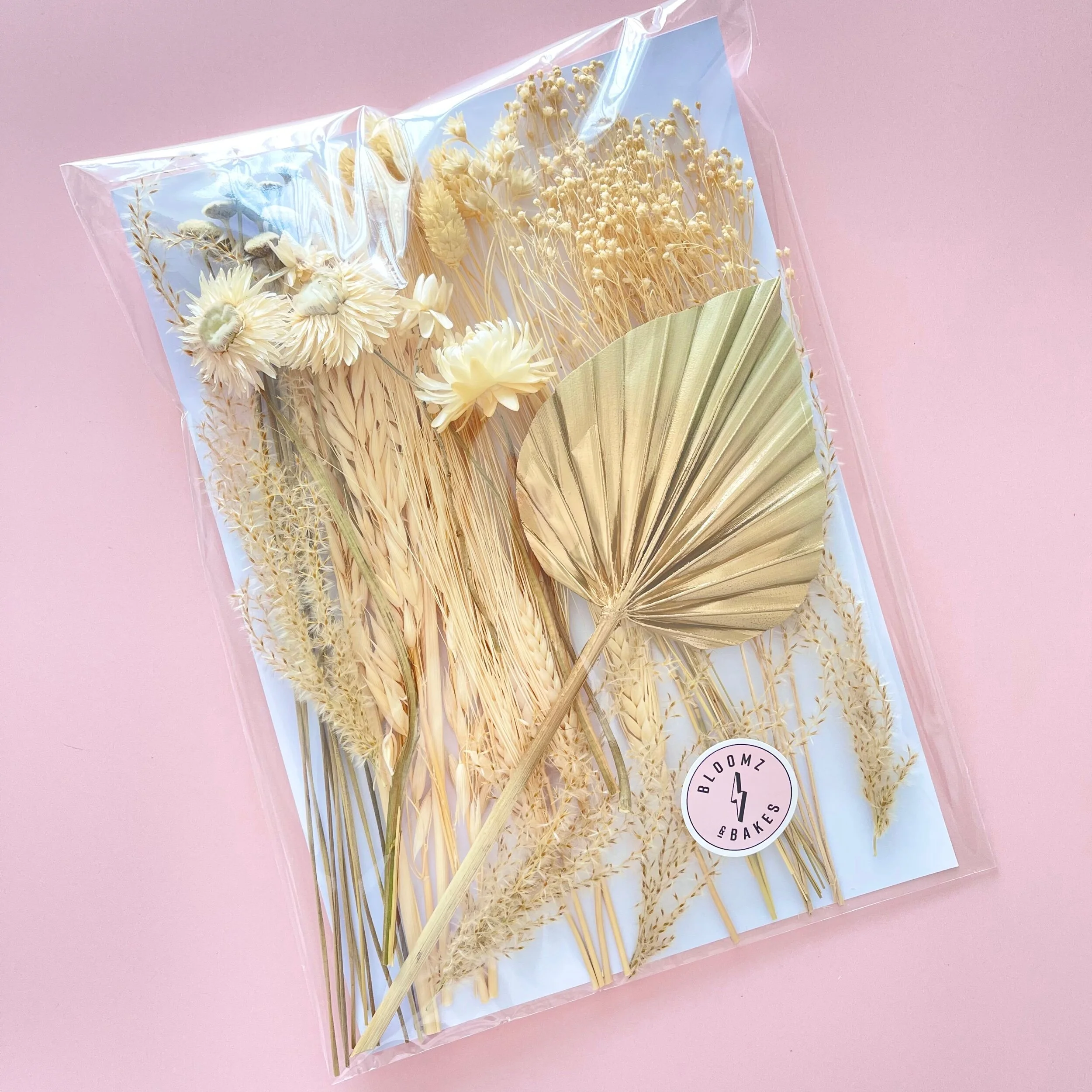 E8876E6B-5881-47E3-B014-4E6E1E8D518C